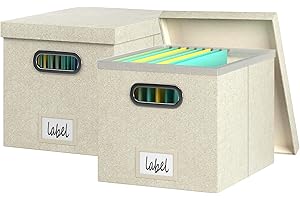 Organizer Files and Storage File Storage Boxes Hanging Folders Organizer with Lid