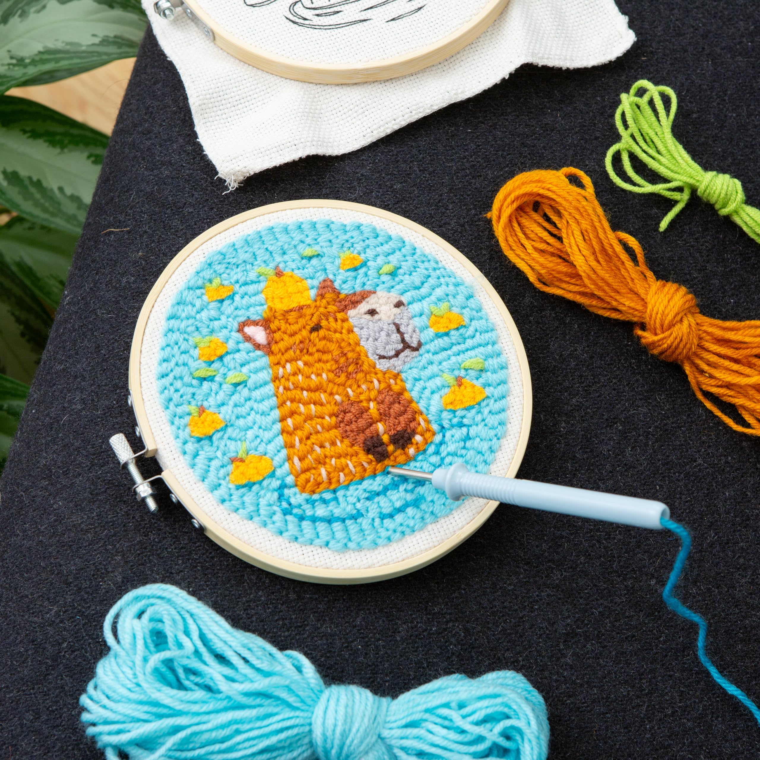 Amazon.com: Kikkerland Capybara Punch Needle Kit – Embroidery Set
