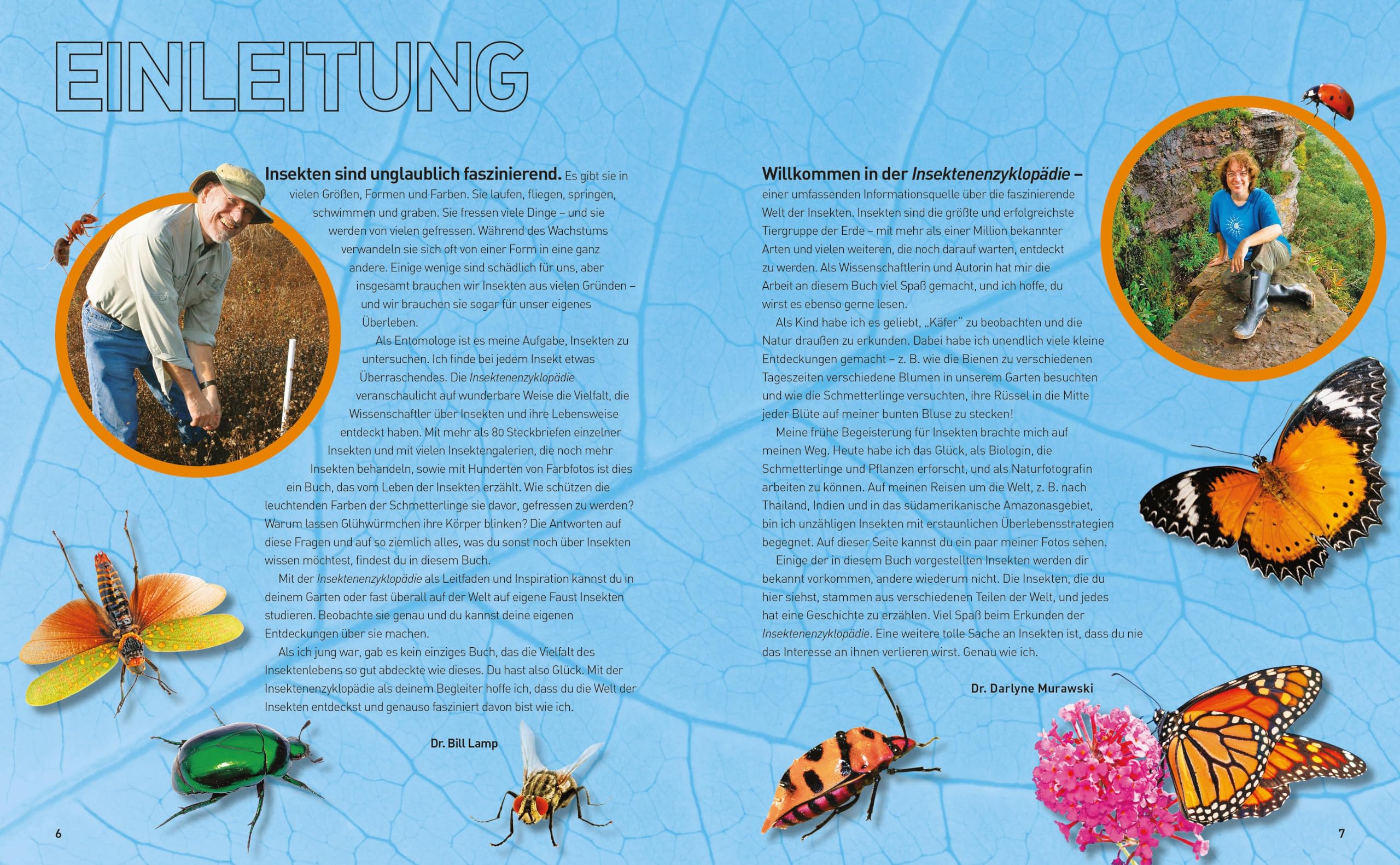 Insekten-Enzyklopädie: Die Wunderwelt von Käfer & Co.: National Geographic Kids