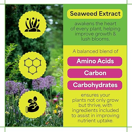 Miniatura 3 de Crecer más mar crecer multiusos 161616