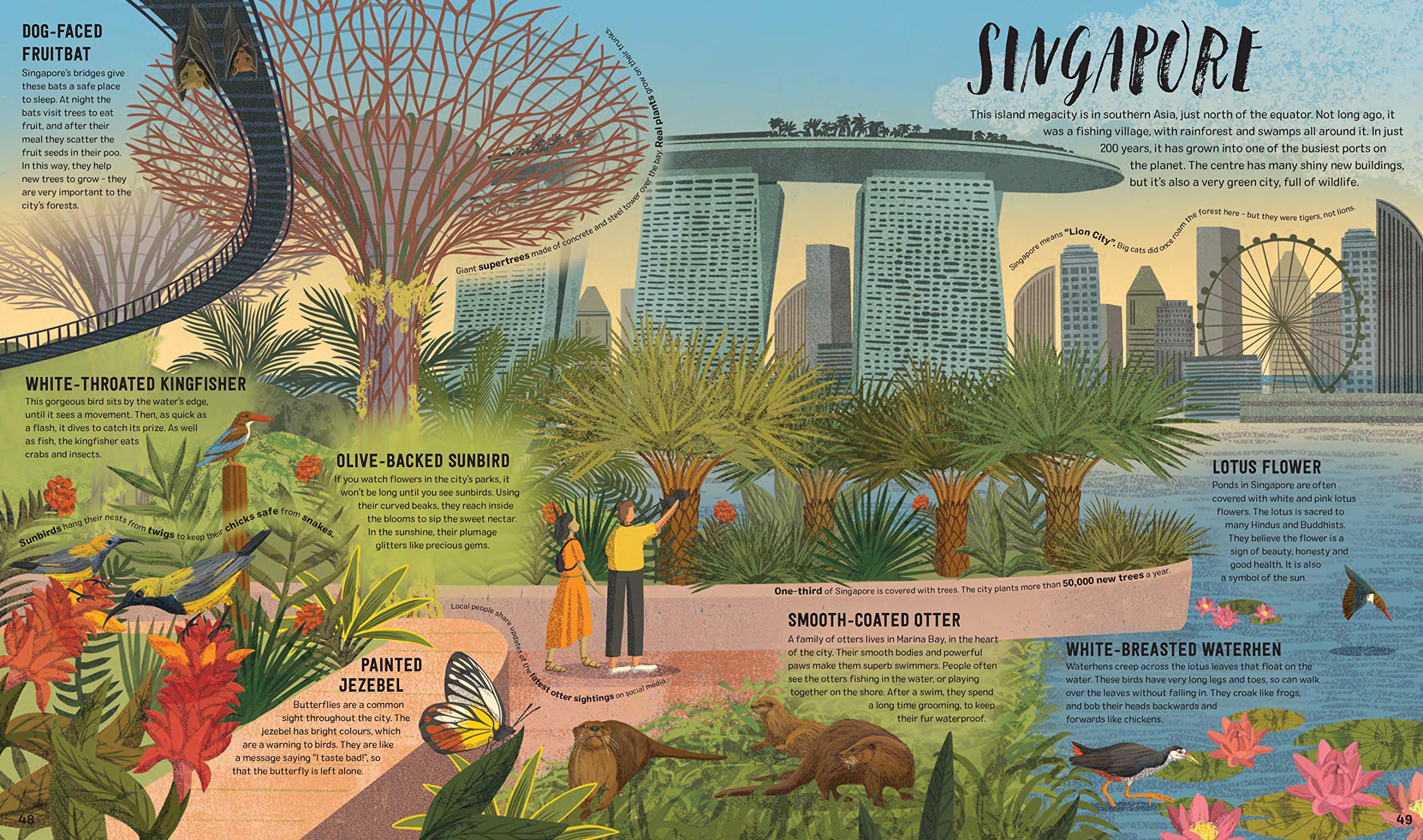 Wild City: Meet the animals who share our city spaces - Image 5