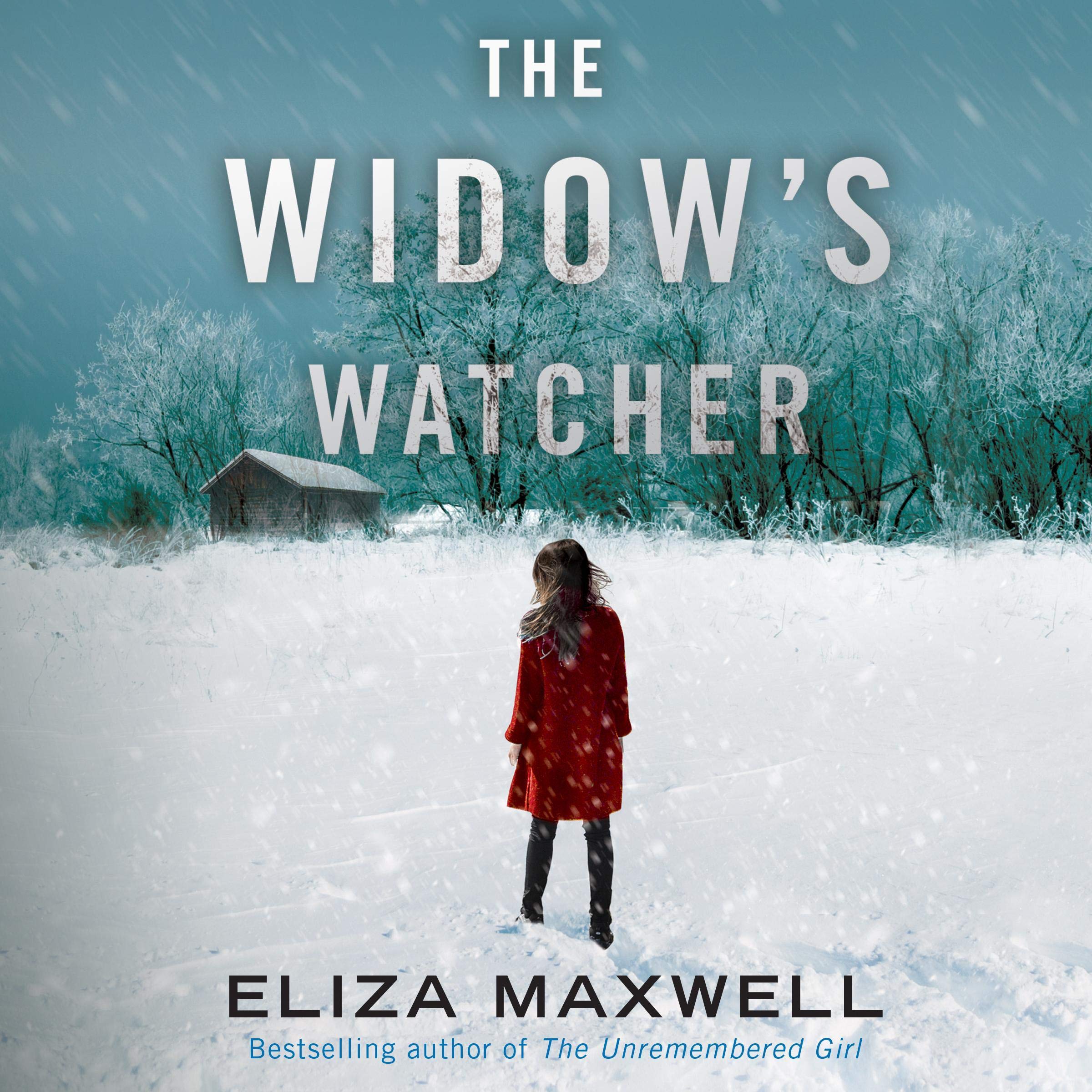 Cover art for The Widow's Watcher