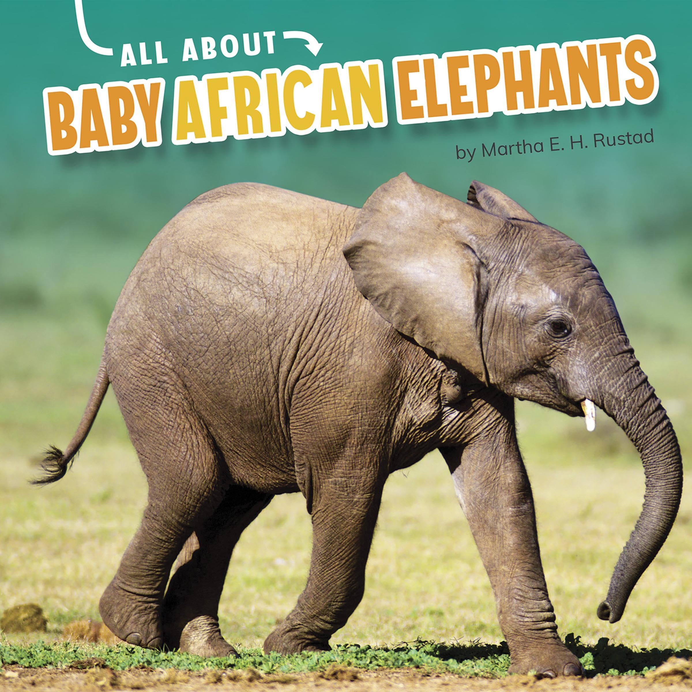 All about Baby African Elephants