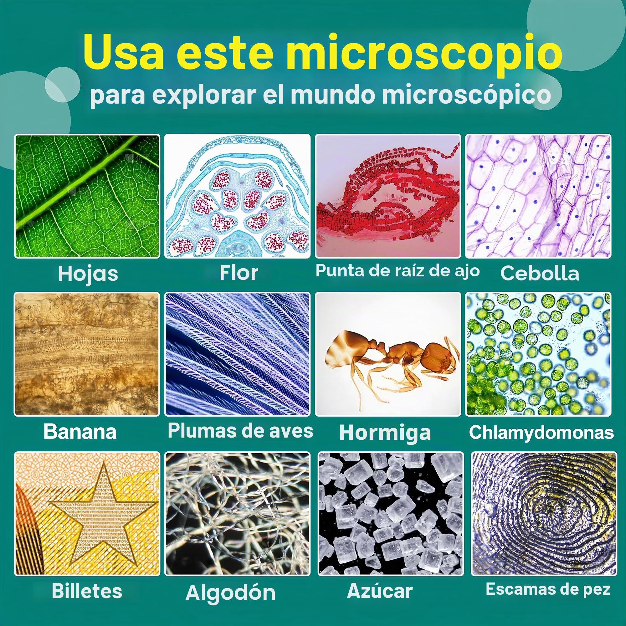 KinZon Microscopio 3 en 1 para niños, con 5 cuchillas preparadas, luz LED, 60x-180x, juguete científico educativo, desde 6 años