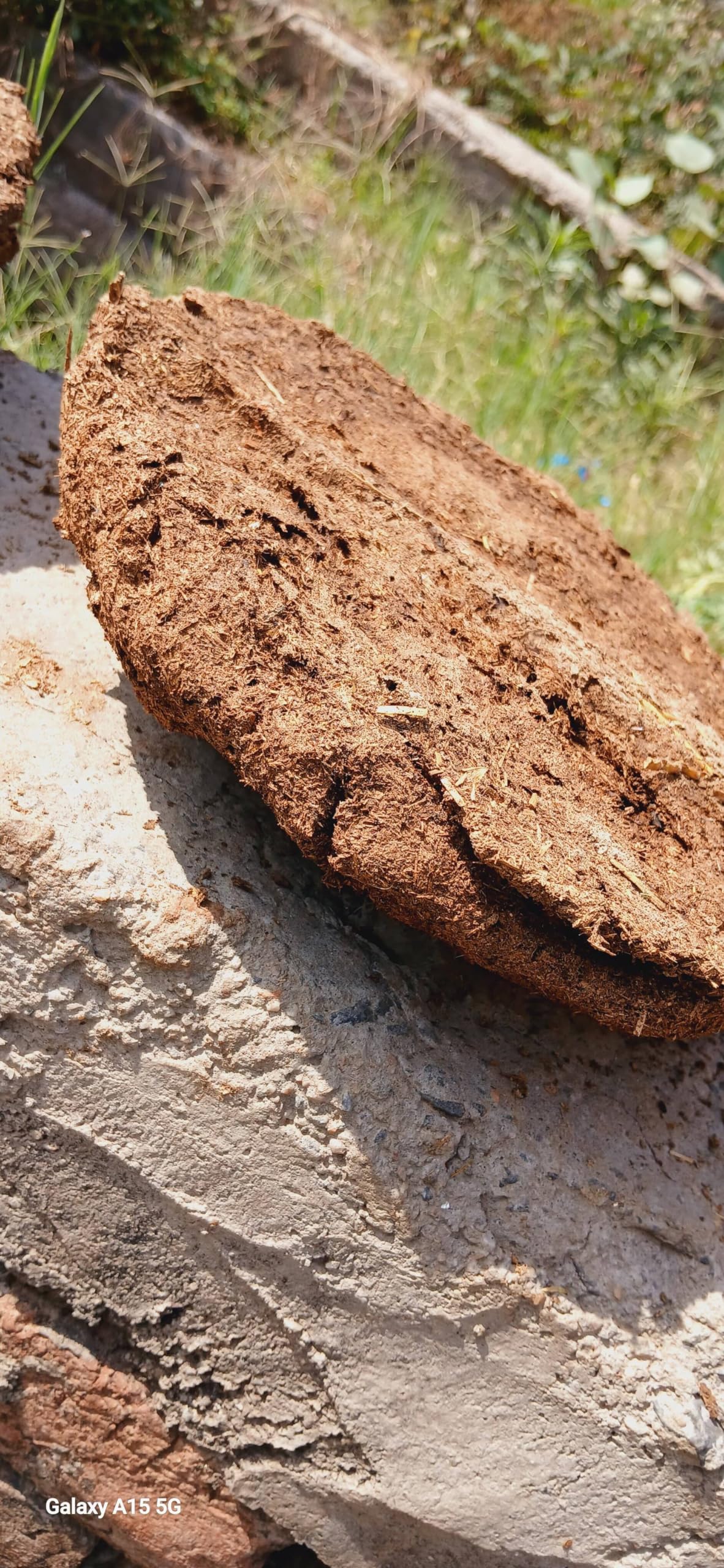 Aruna Handmade Organic Cow Dunk Cakes for Havan Pooja 25 Pcs | Holy Cow Dung Cakes for All Religious Event 25 Pcs| Pure Cow Dung Cakes for Pooja 25 Pcs | Brown Cow Dung Cakes 25 Pcs for Havan Pooja