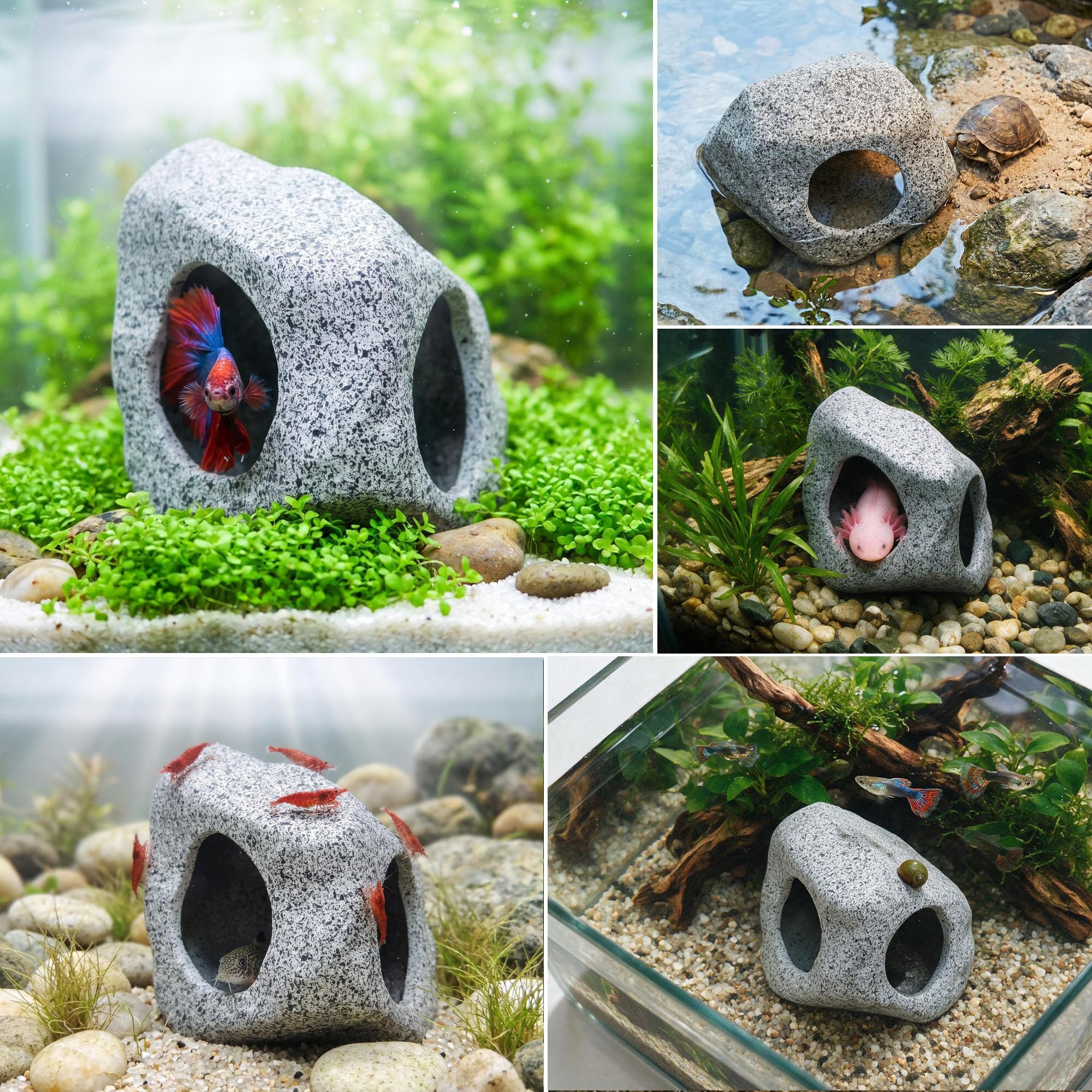 Betta Fish Cave - Ceramic Hideout for Aquarium -6 Betta Fish Cave - Ceramic Hideout for Aquarium -6