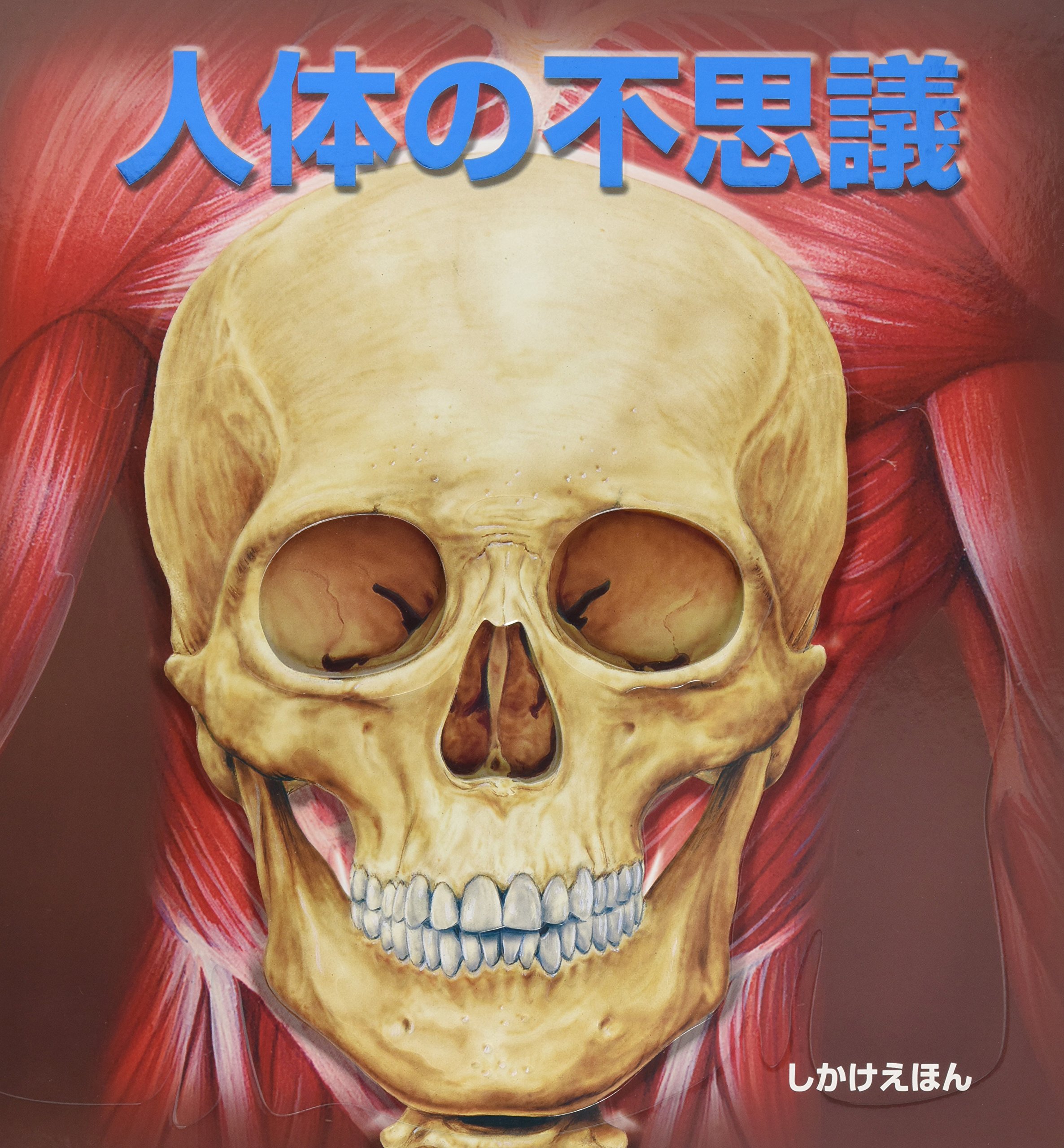 ヴィンテージ飛び出す絵本　人間の体　The Human Body THE HUMAN BODY」Jonathan Miller David Pelham Ha