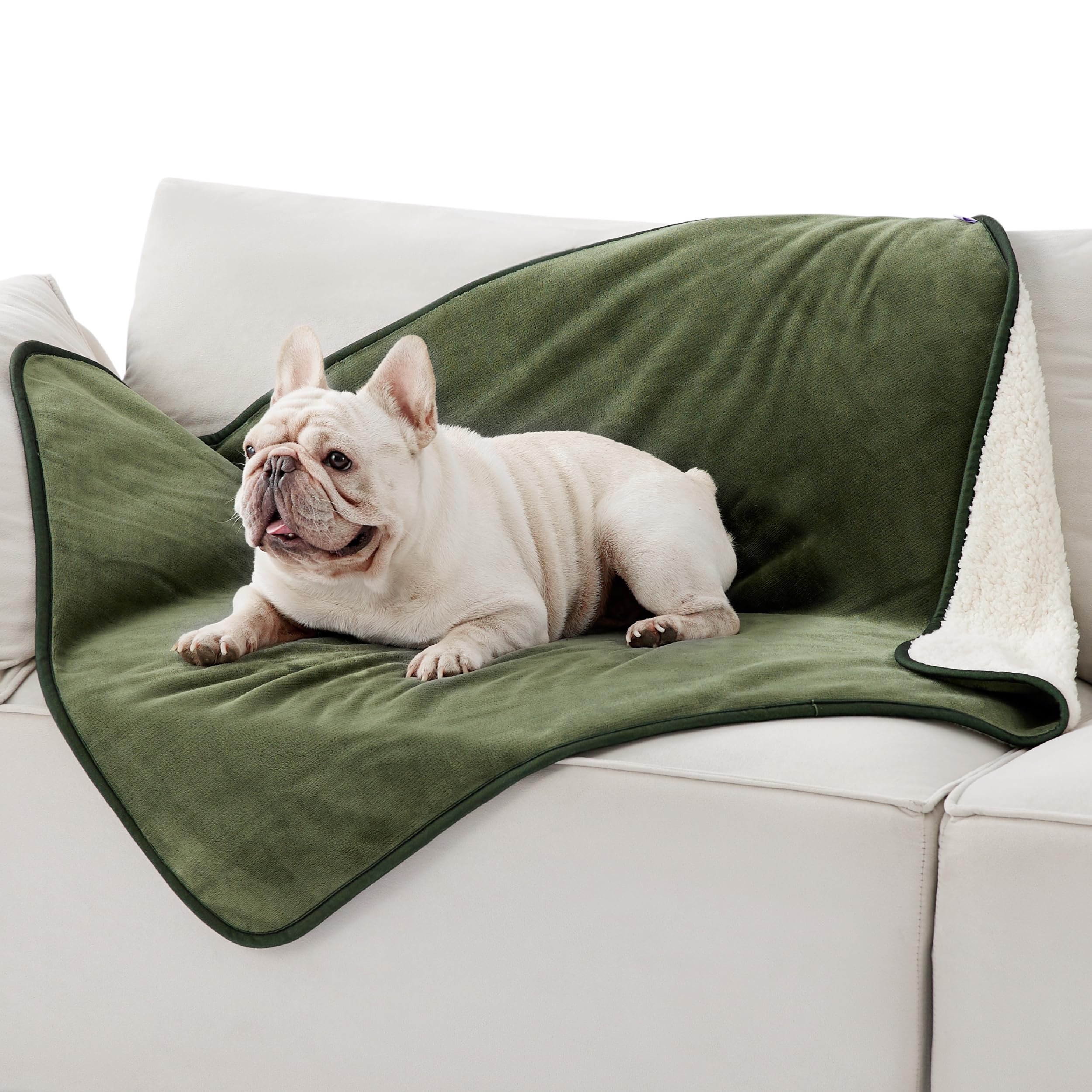 LE SURE Hundedecke Wasserdicht，wasserdichte Decke Sofa, | Hundedecke für unterwegs, Hunde Decke Sherpa Fleece waschbar, Katzendecke flauschig und weich für Bett, Auto, Outdoor