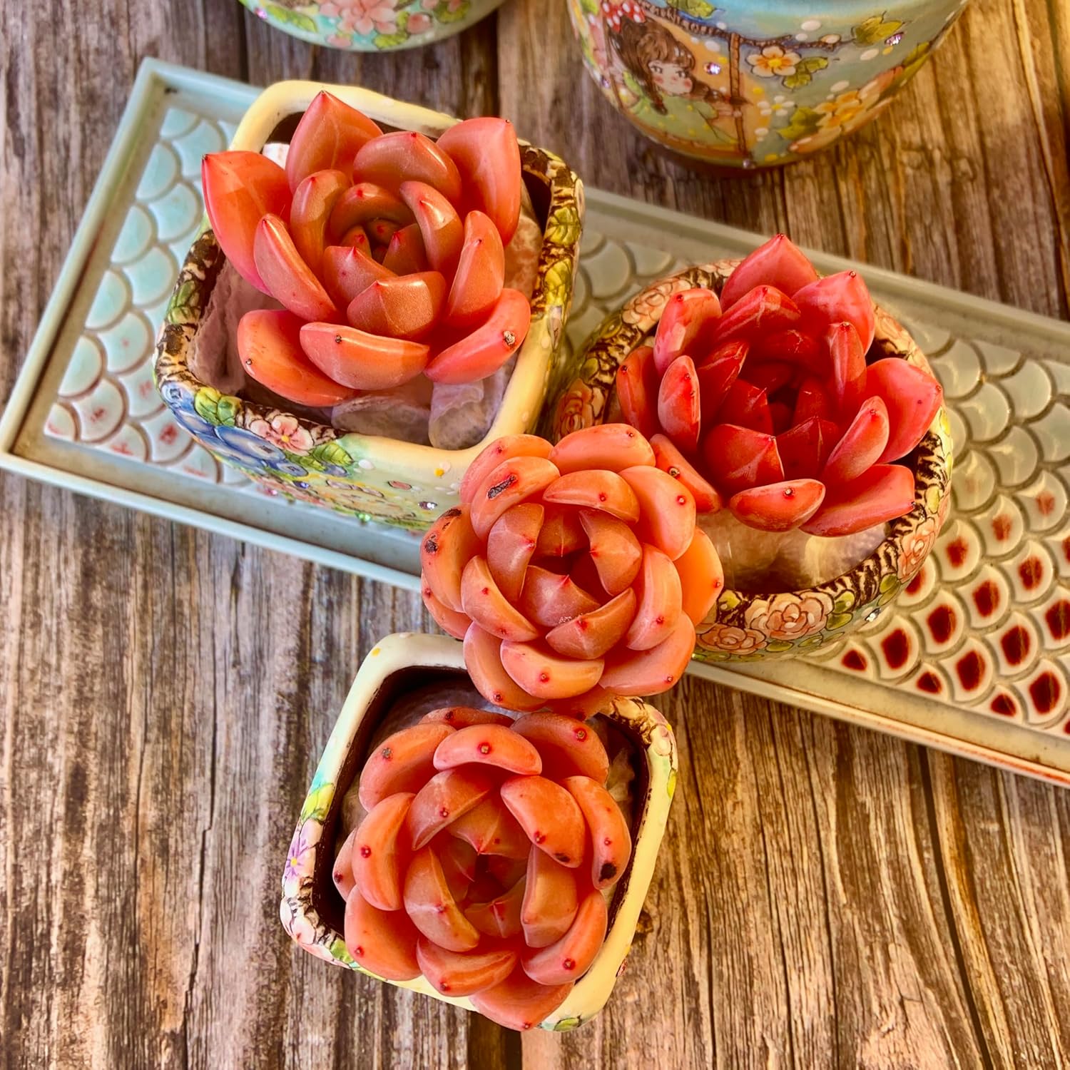 Echeveria Red Wine Champagne Succulent Kit - with Plastic Pot, 1 Head 2" Live Plant, Compressed Soil & Guide, for Garden Indoor Office Desk (1, Echeveria Red Wine Champagne)