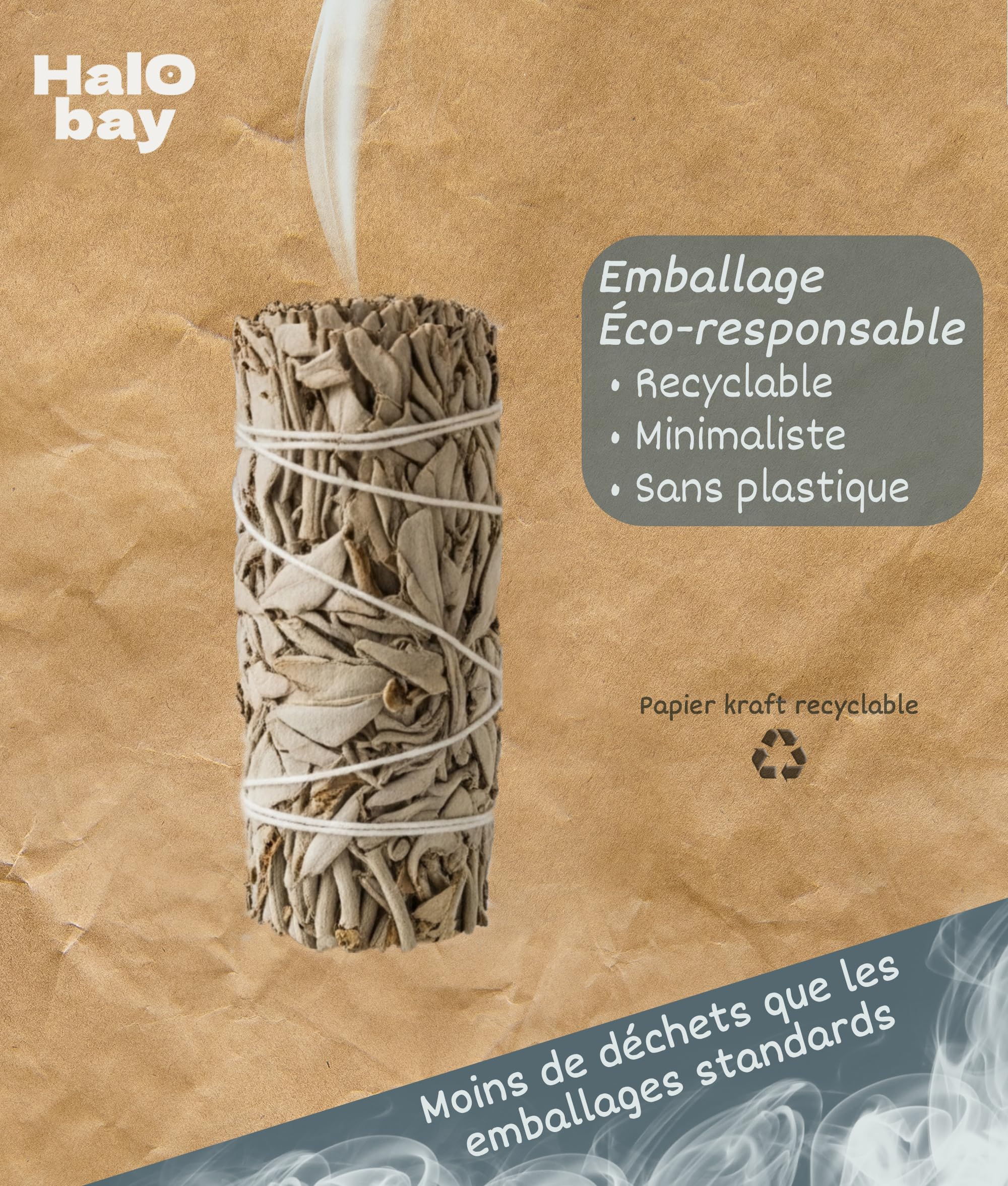 Sauge Blanche Bâton Encens Purification Naturel 10cm Rituel Méditation Yoga Salvia Apiana