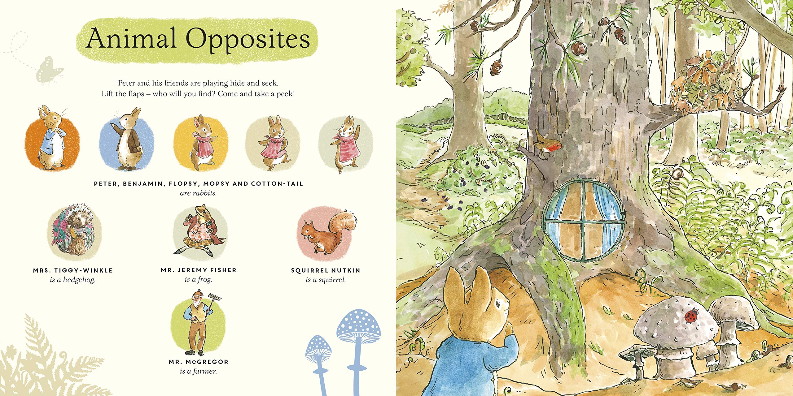 What Can You See Peter?: Very Big Lift the Flap Book