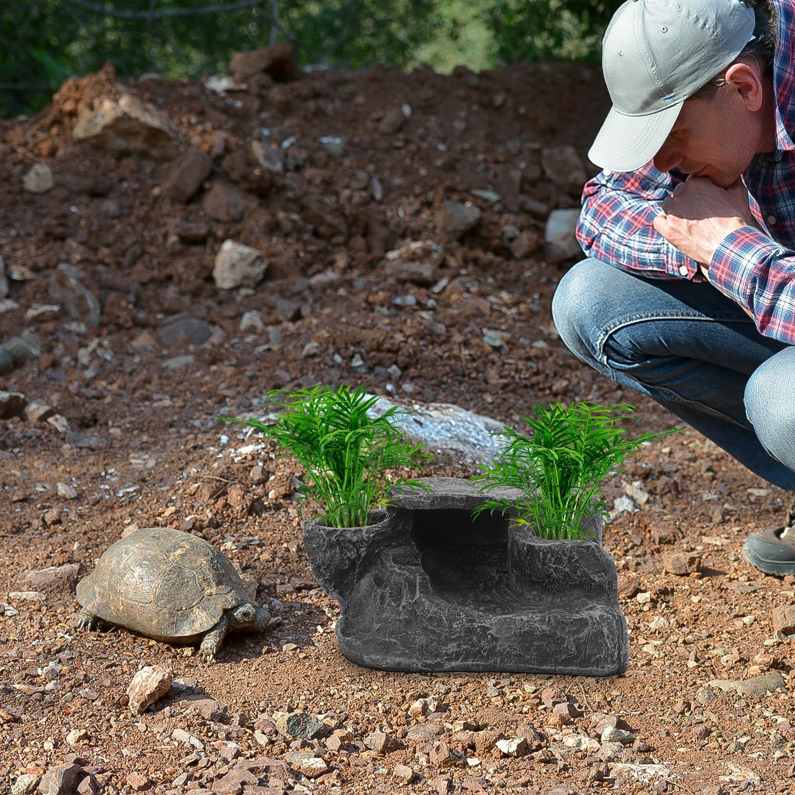 GALPADA Plataforma para Tortugas de Resina Rampa Fácil de Escalar, Resistente al Desgaste para Acuarios de Agua Dulce, Escondite y Decoración para Reptiles y Anfibios