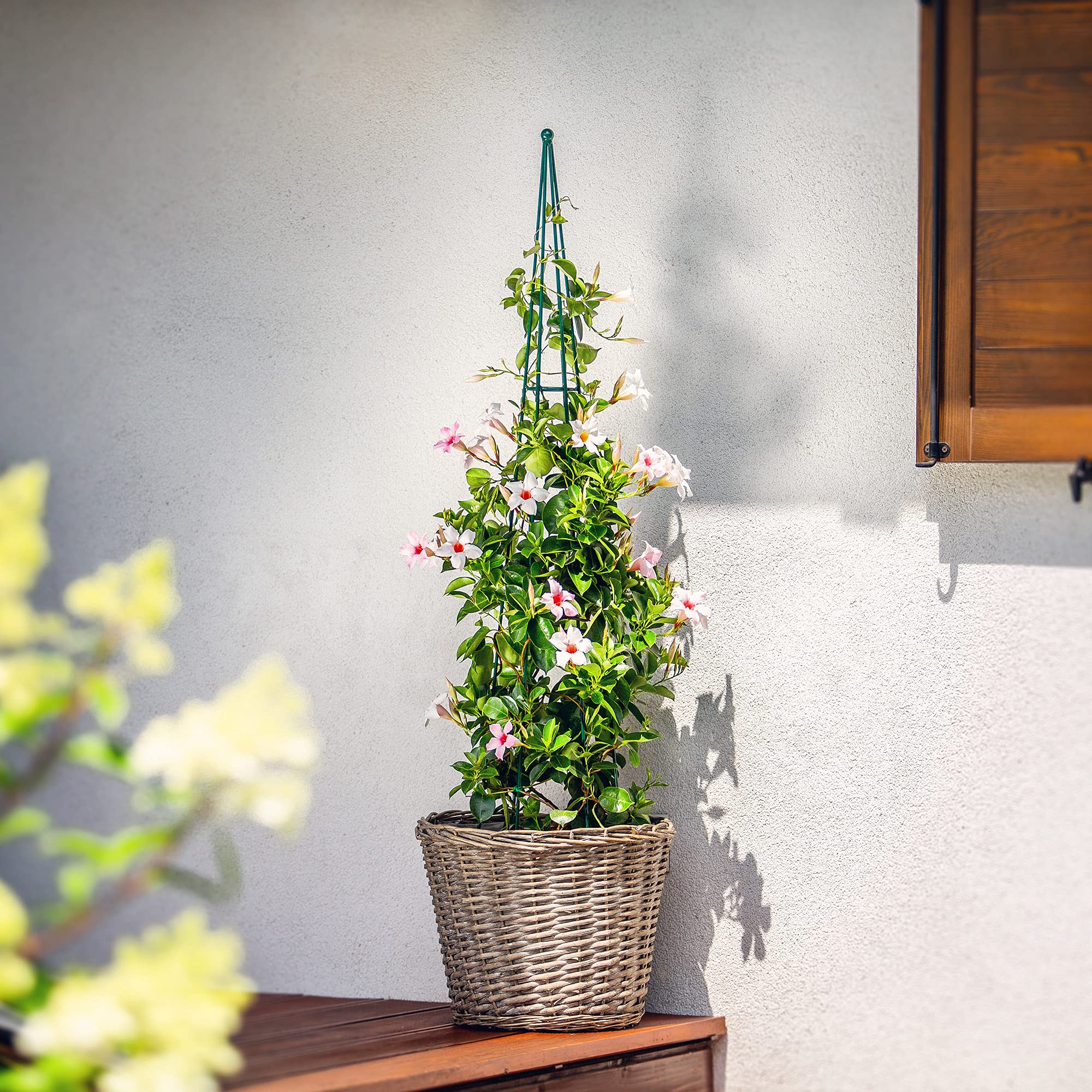 KADAX Tuteur ŕ Colonne Autonome pour Jardin, Roses, Plantes grimpantes, Plantes grimpantes, tuteur en Acier, Aide ŕ l'escalade, Treillis, Pyramide résistante aux intempéries, Vert Höhe: 120 cm Vert