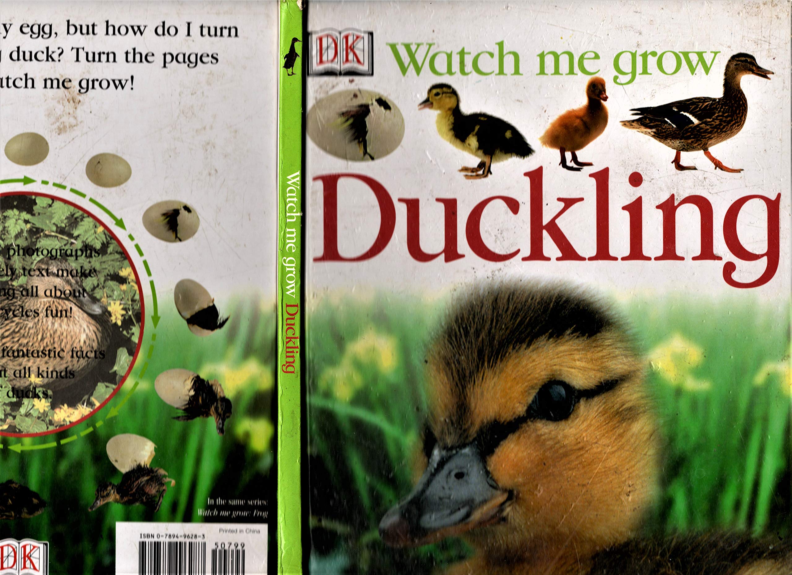 Duckling DK - PT02