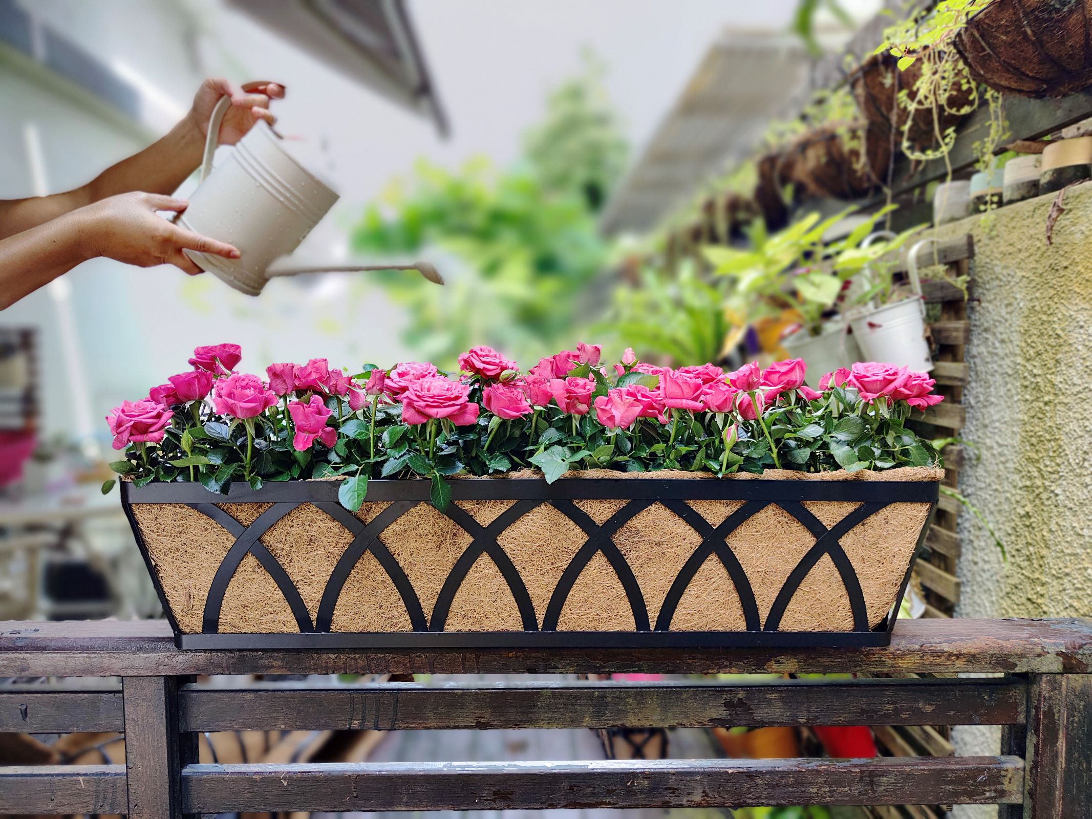 Window Planter Boxes With Coco Liner Maxona Window Planter Box – 4 Pack ...