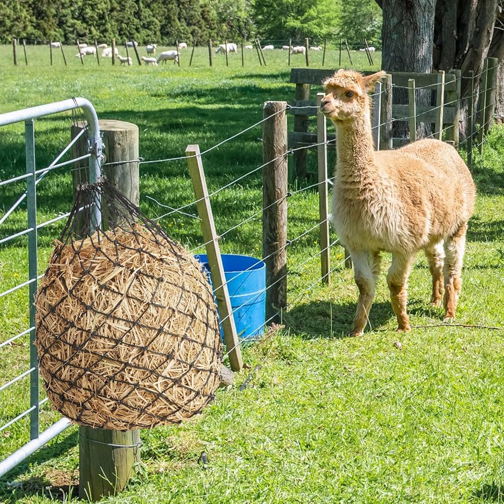 Hay Rack Tough Fence Slow Feeder Net Freedom Feeder Extended Day Net