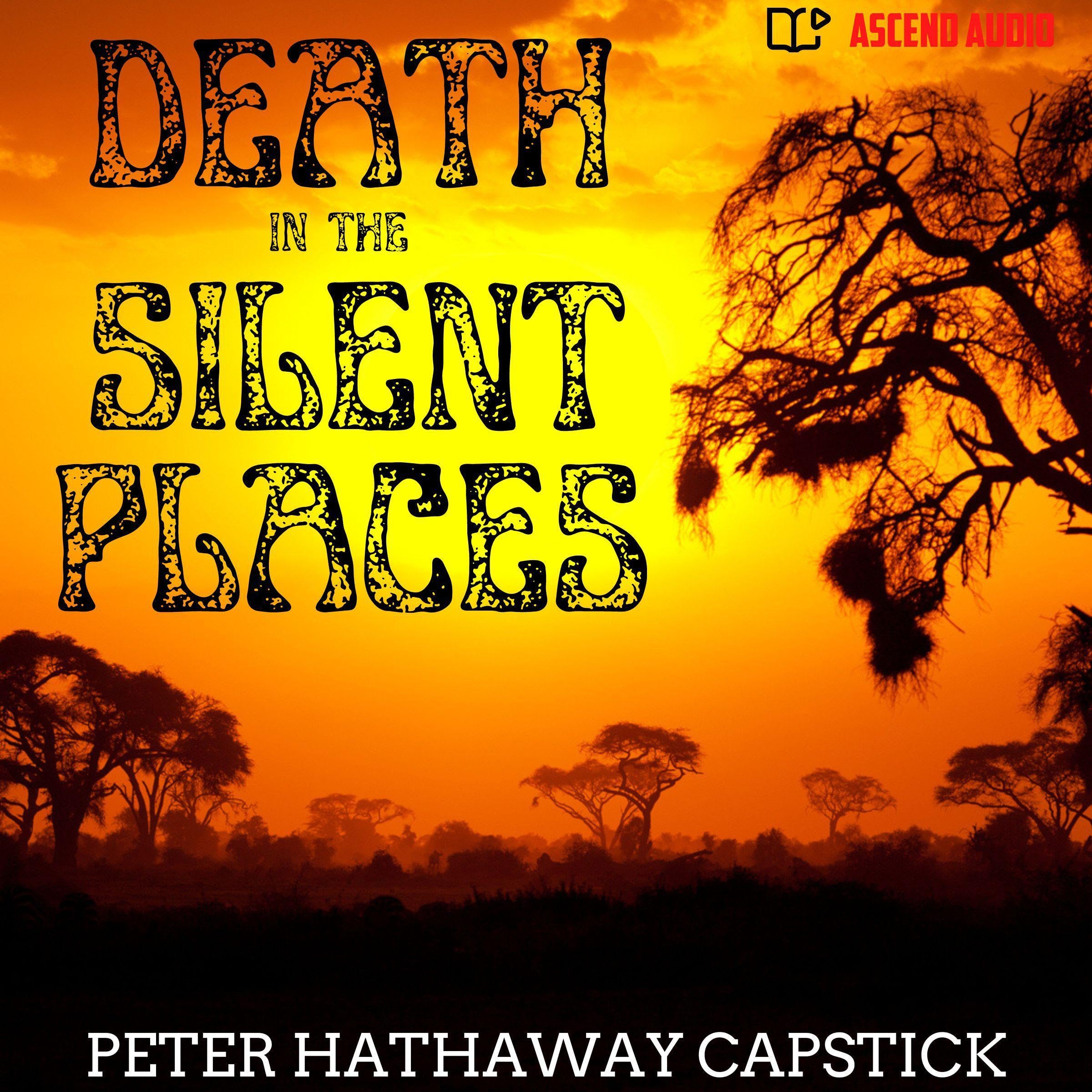 Cover art for Death in the Silent Places