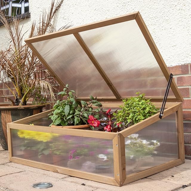 Woodside Outdoor Wooden Plant Flower Vegetable Cold Frame Growhouse
