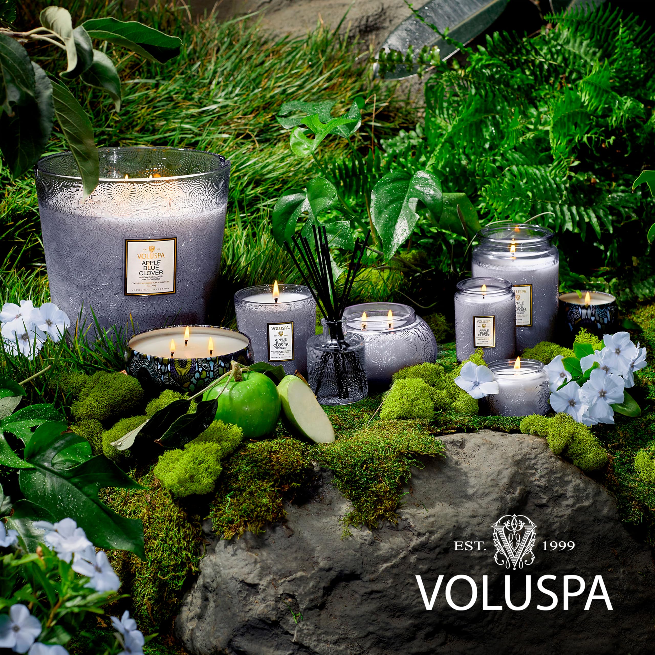 Amazon.co.jp: VOLUSPA(ボルスパ) ジャポニカ グラスジャーキャンドル