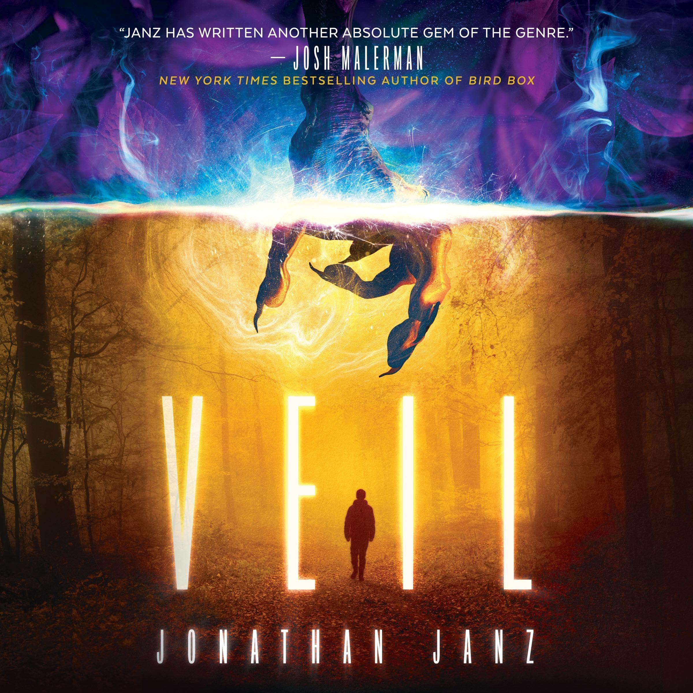 Cover art for Veil