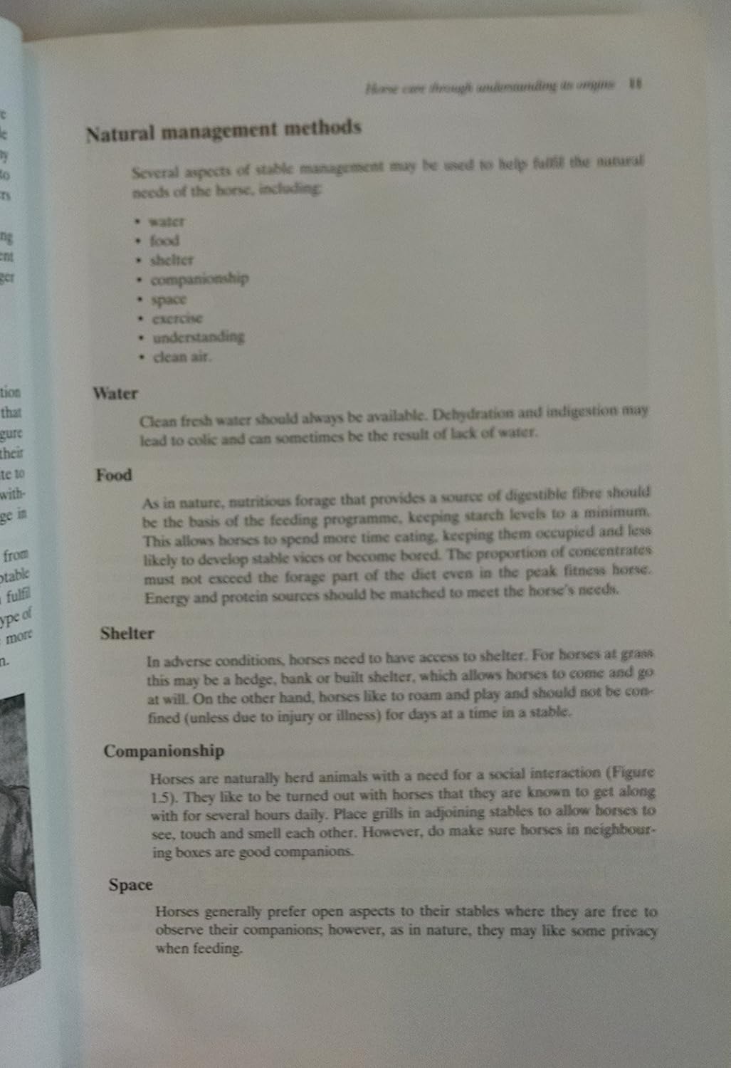 Horse and Stable Management - Image 3