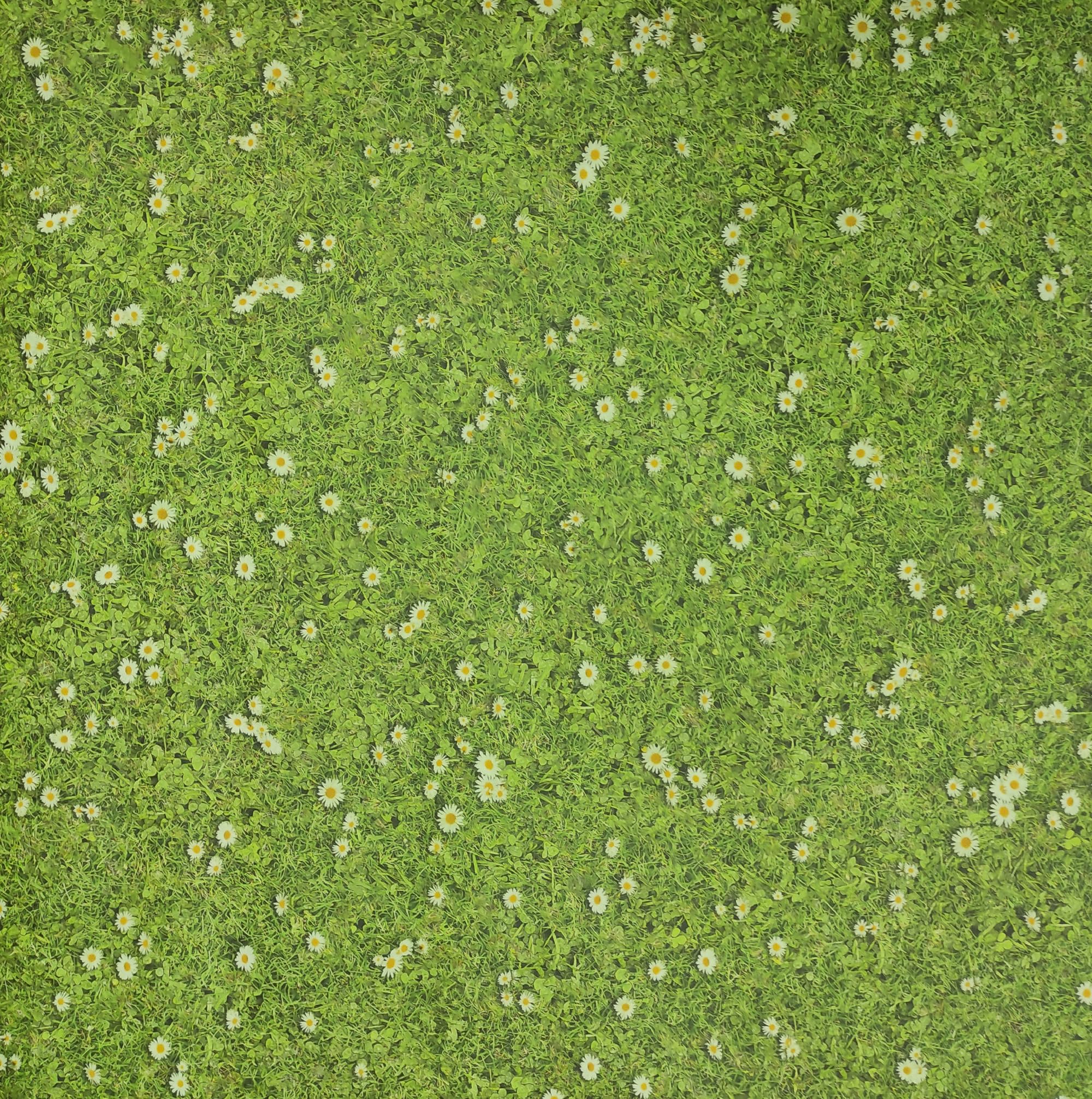 Tadi & Imperio1979 Tapis Vinyle imprimé Fleurs avec Gazon numérique pour Salon, Cuisine, Salle de séjour, entrées, Chambre à Coucher avec Dos PVC antidérapant.