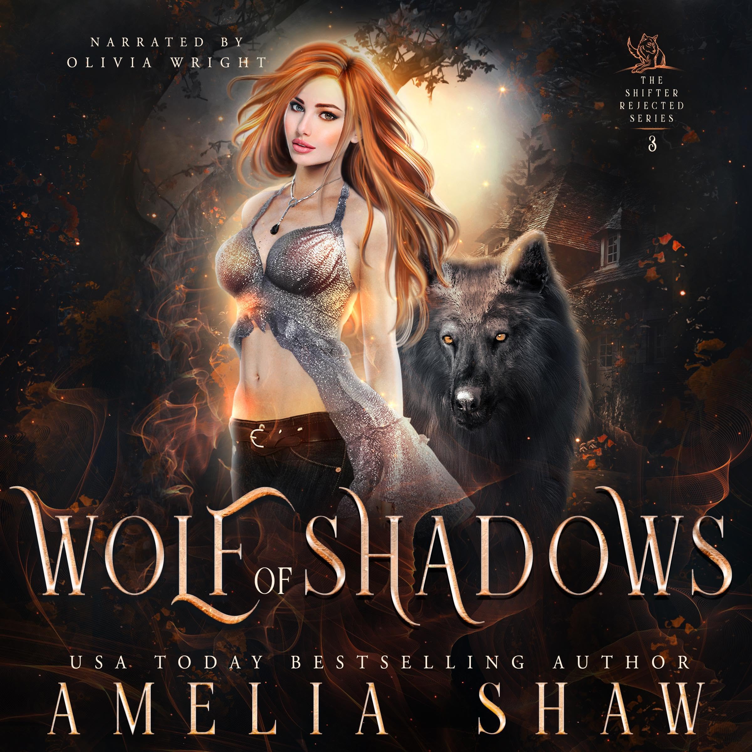 Cover art for Wolf of Shadows