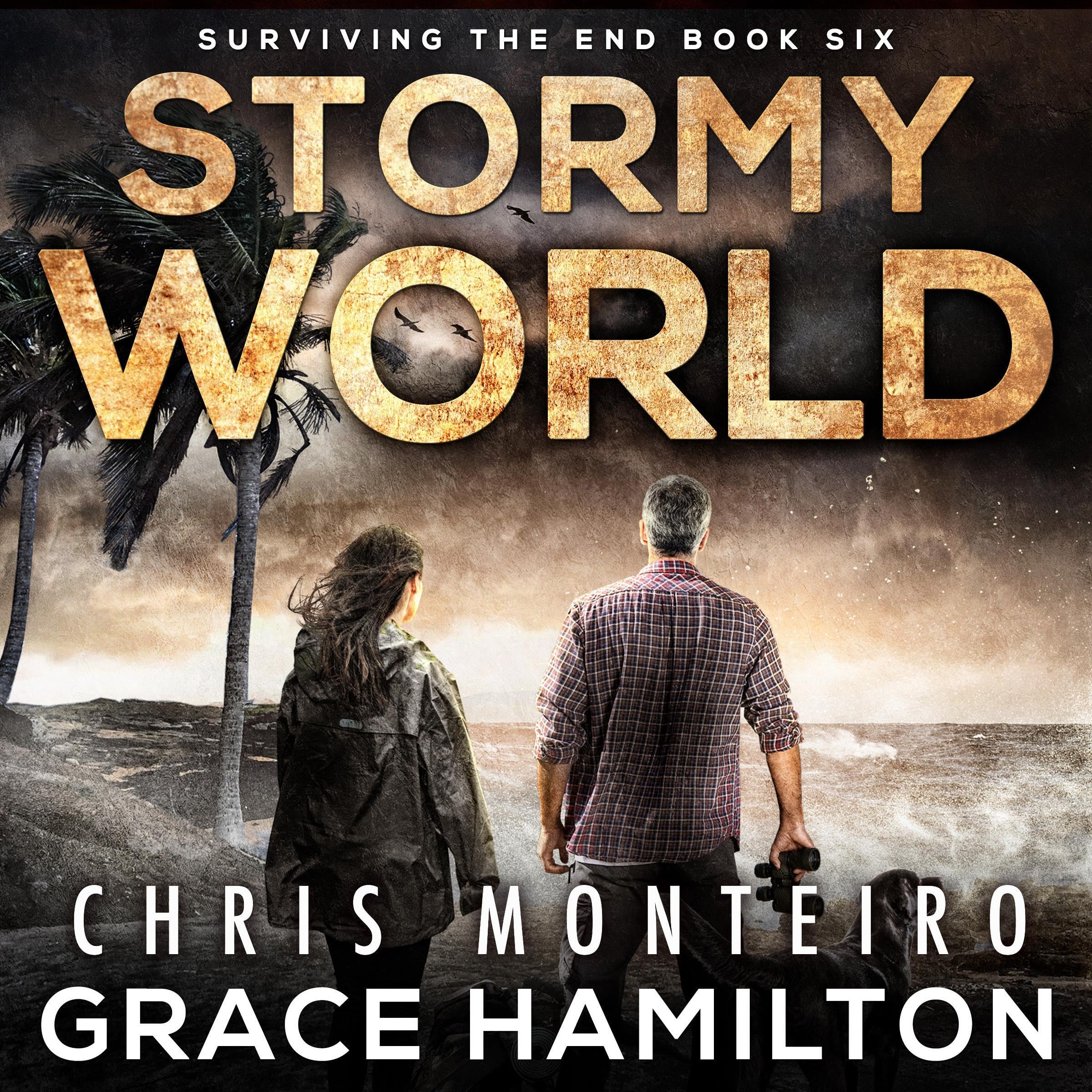 Cover art for Stormy World