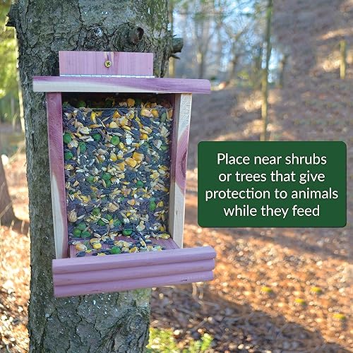 Miniatura 7 de Lyric Wildlife Critter Food para ciervos, pavos, semillas de pájaros silvestres, bolsa de 10 libras