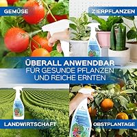 LERAVA Réz és Kén Fungicid Spray 700ml - Lisztharmat Elleni Permetszer Rózsához, Szőlőhöz, Gyümölcsfákhoz 5