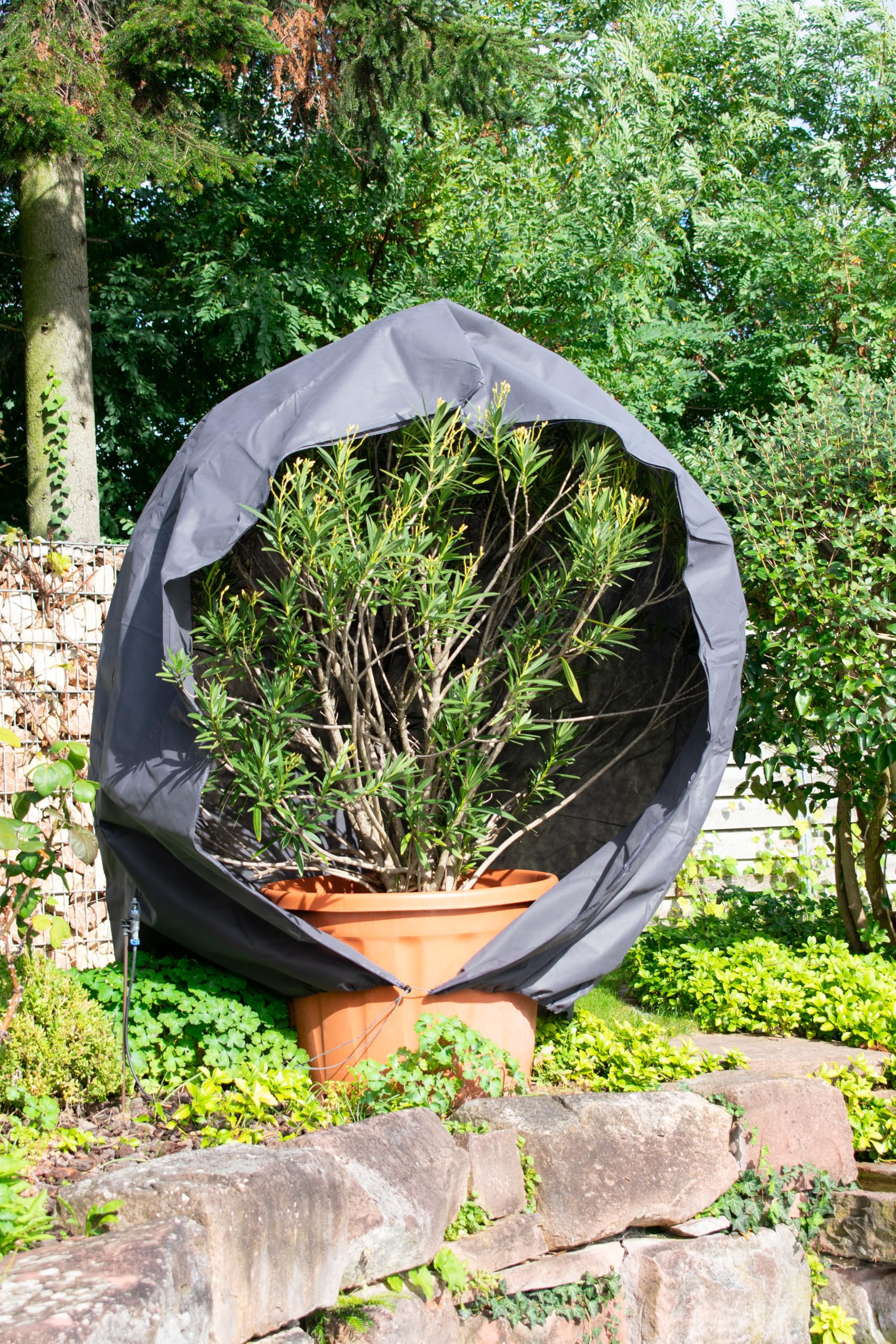 schlauchmeister 24 ... wir leiten's durch ... Premium XXL Winterschutz für Pflanzen grau Kübelpflanzen Winterschutzcover draußen Haube 300 x 240 cm Reißverschluss Zugband Pflanzenschutzhaube