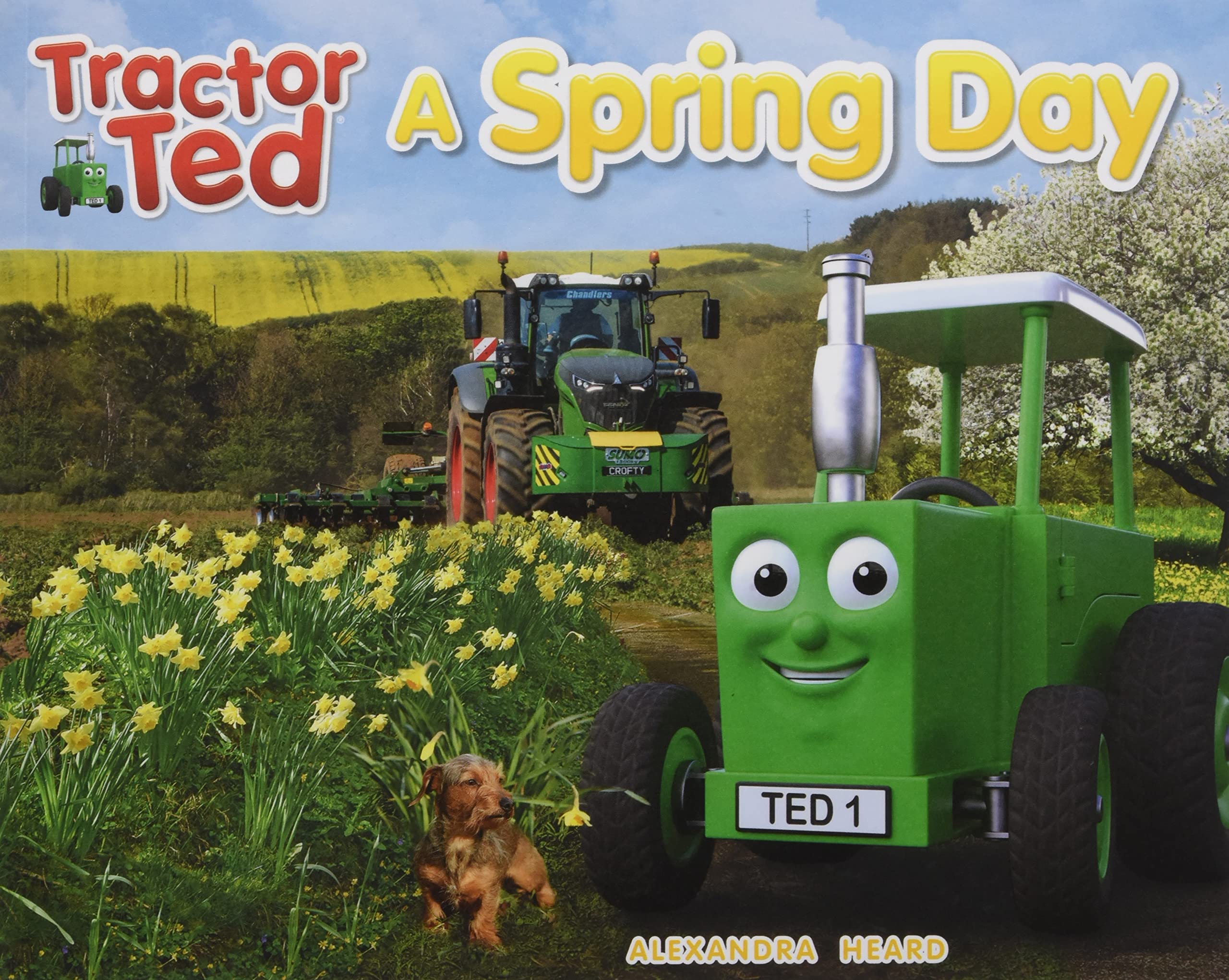 Tractor Ted A Spring Day by Alexandra Heard (Paperback Book)