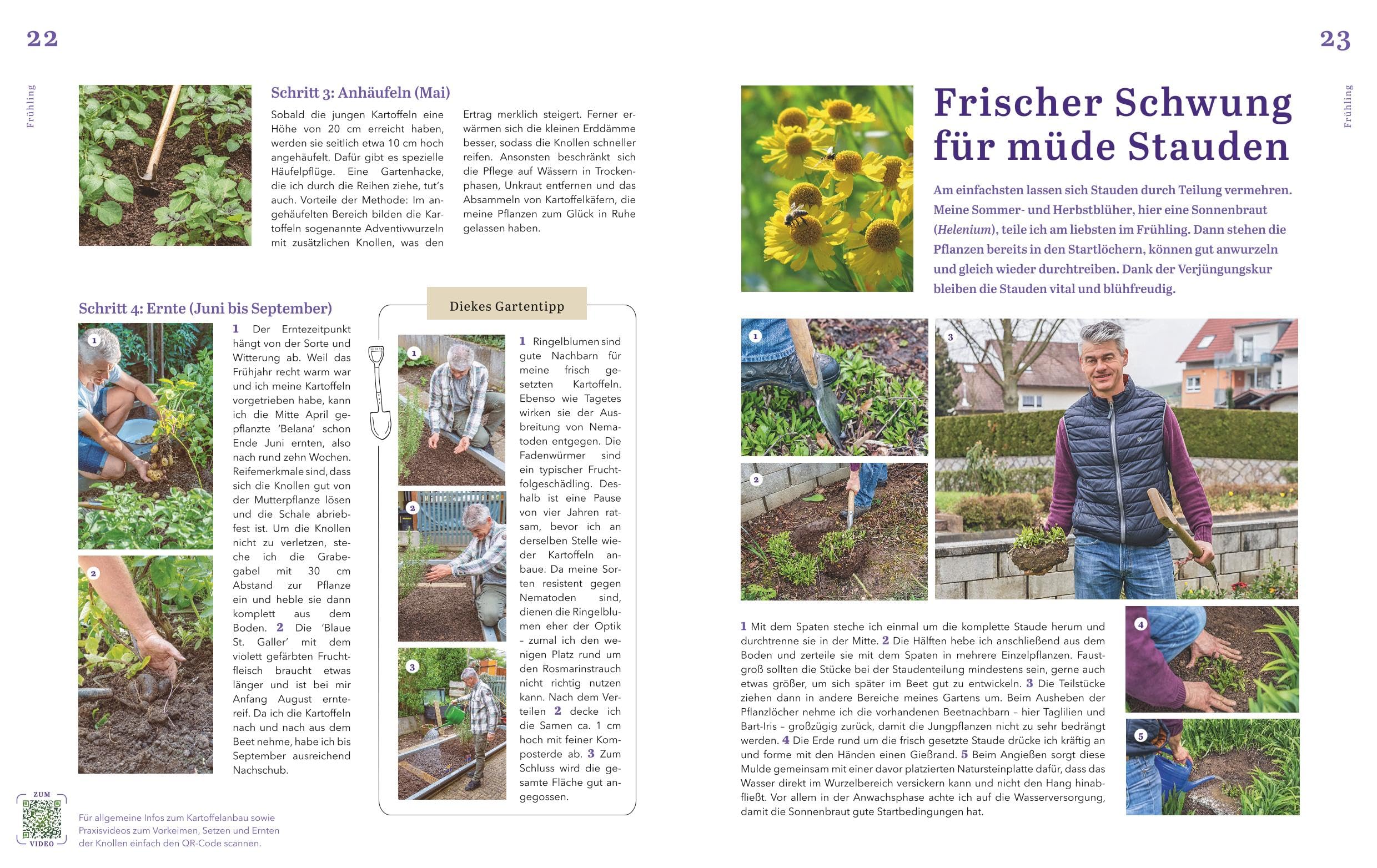 Dein schöner Garten: Der Garten-Ratgeber mit den besten Praxis-Tipps, Gestaltungs-Ideen und DIY-Projekte fürs ganze Jahr (GU Gartenpraxis)