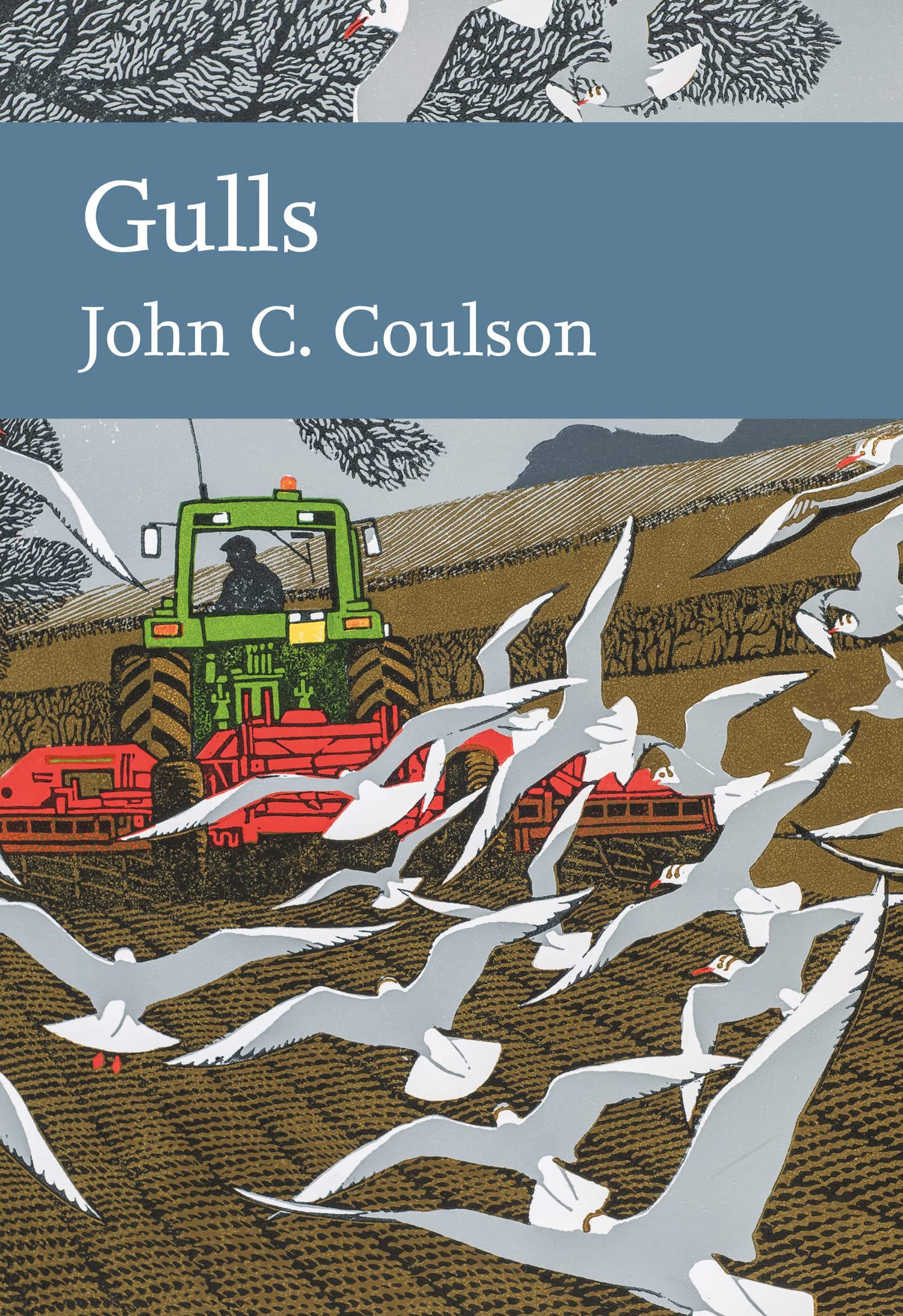 Gulls: Discover the Secret Lives of Seabirds in This Comprehensive Wildlife Nature Book: Book 139 (Collins New Naturalist Library)