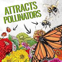 Vista 5 de Seed Needs Zinnia Seeds 15+ variedades Specialty Crazy Blend Más de 1000 semillas de Zinnia Elegans de polinización abierta Incluye California