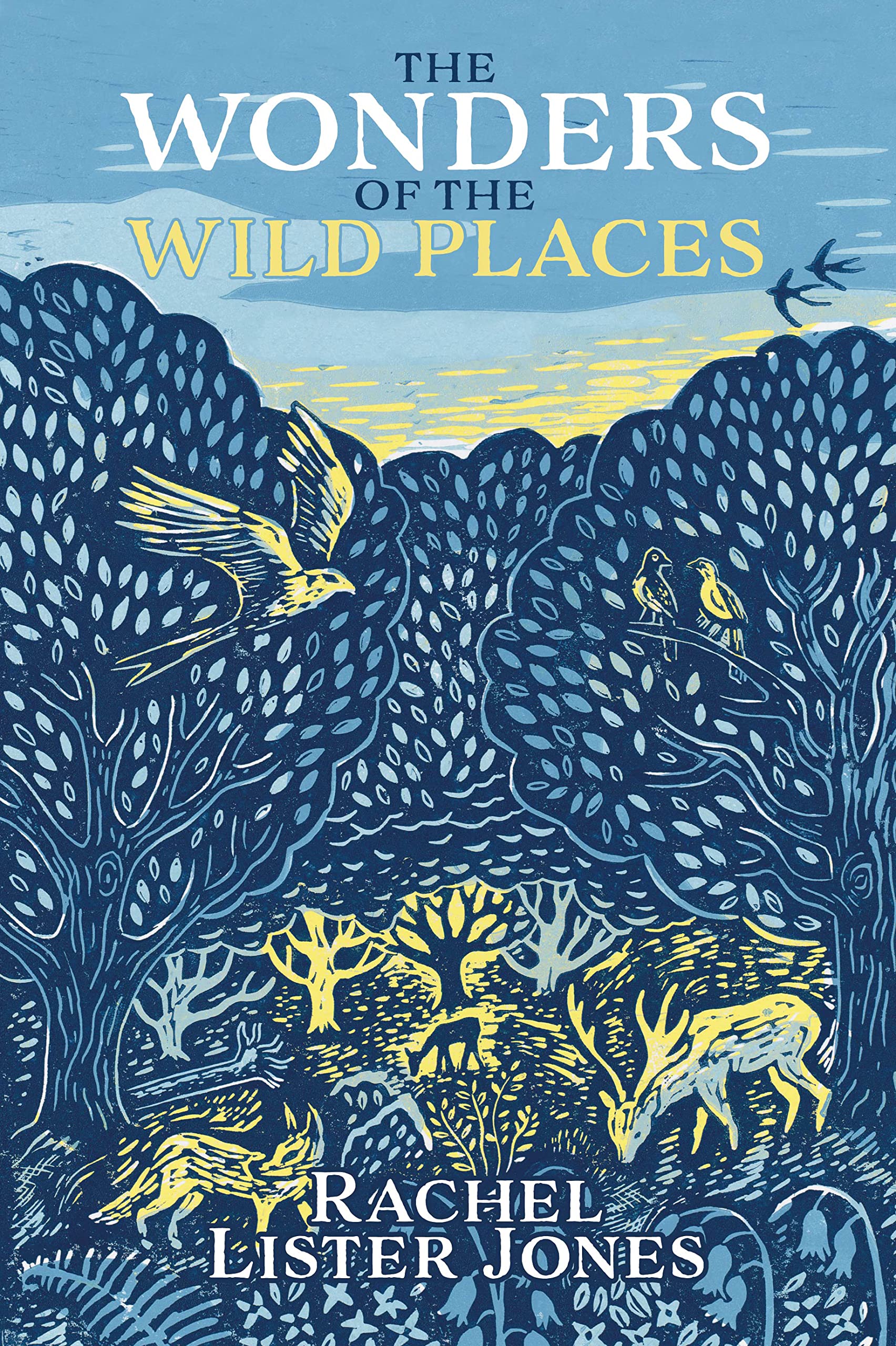 The Wonders of the Wild Places by Rachel Lister Jones, Hannah... - 9781839525339