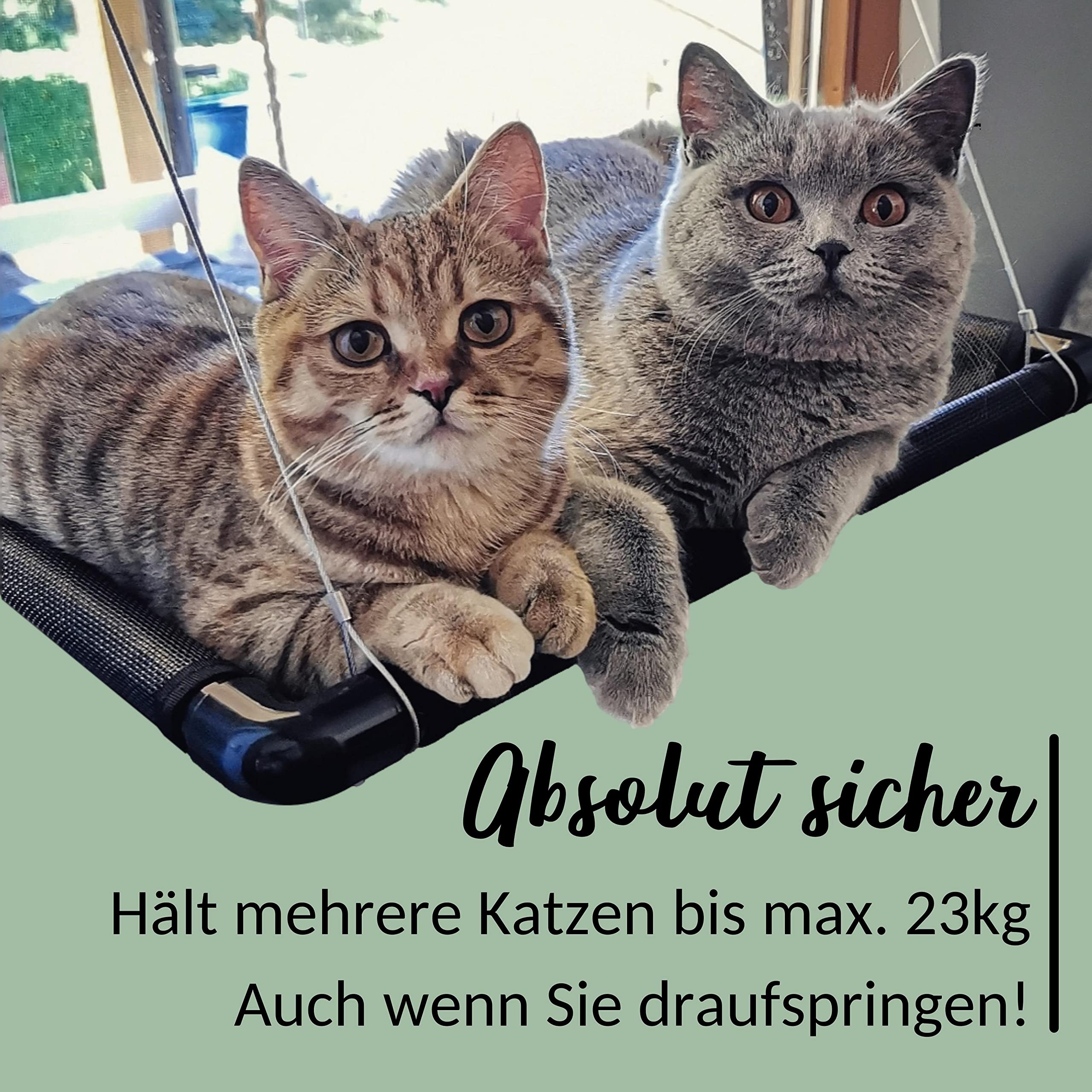 Riijk Fensterbett für Katzen bis 23kg, stabil, Platz für kleine Fenster