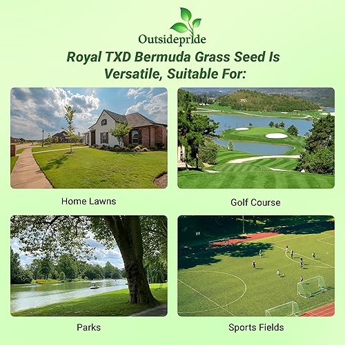 Miniatura 5 de Outsidepride Royal TXD Warm Season, crecimiento rápido, césped de bermudas, mezcla de semillas de césped  10 libras
