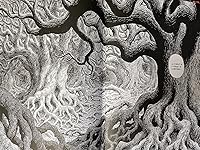 Review Image by Thomas Iaco