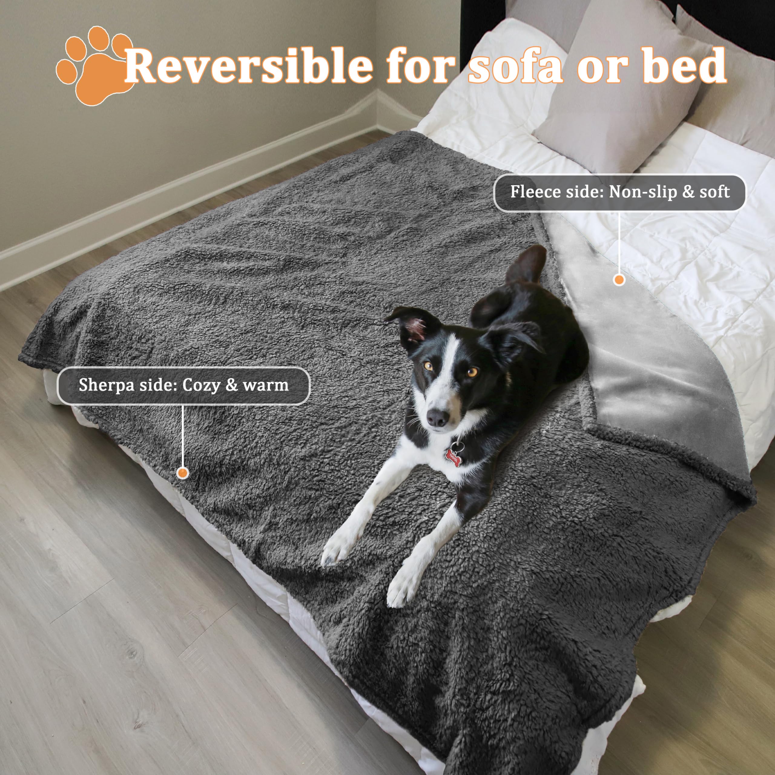 Kritter Planet Wasserdicht Hundedecke, Hundedecke für Unterwegs, Sofaschutz Hund, Waschbar Kuscheldecke, Tagesdecke für Sofa Autositz Couch Bett, XXL 200x230cm Große Decke, Lt Grau/Dk Grau