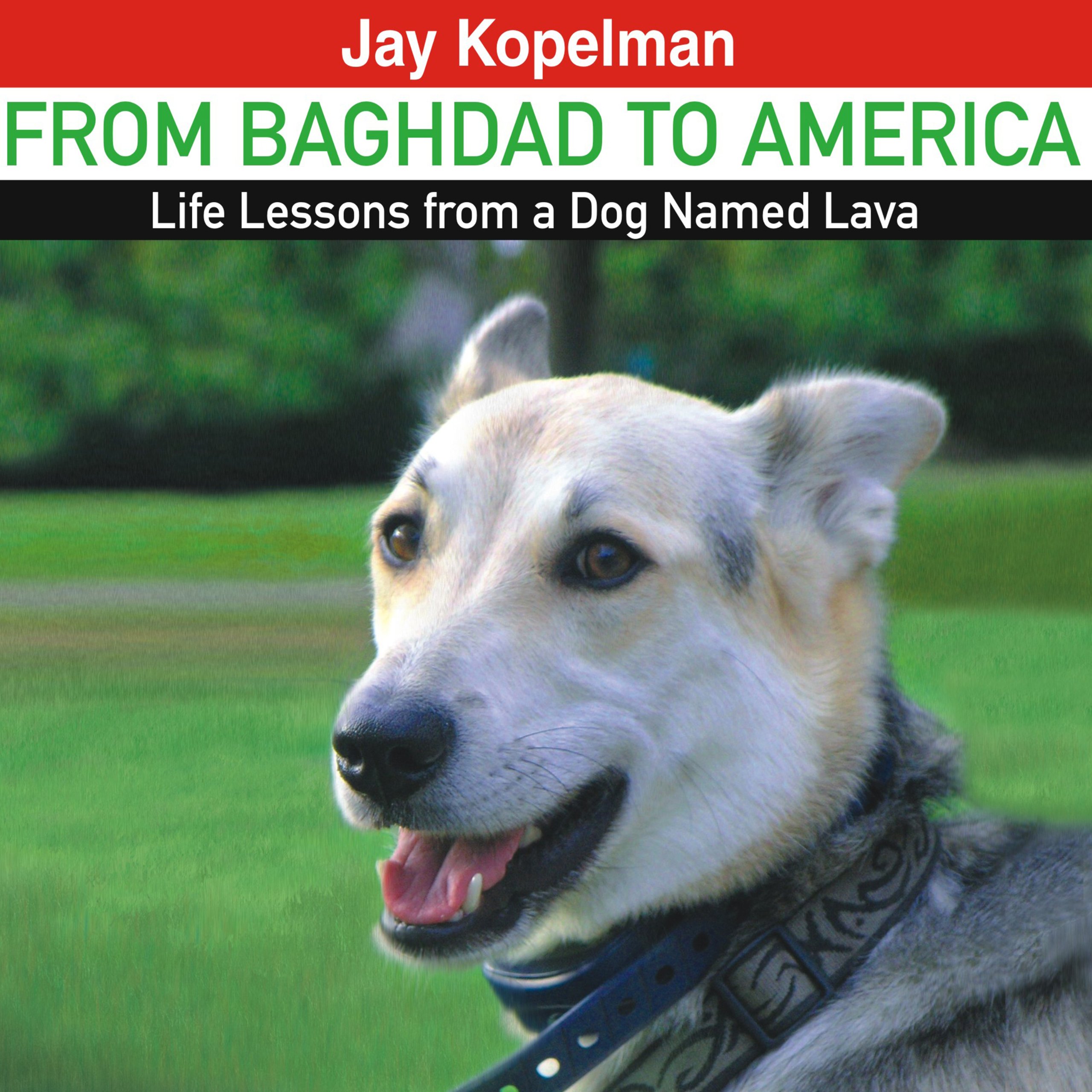 Cover art for From Baghdad to America