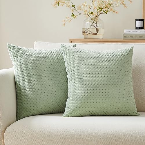 Juego de 2 fundas de almohada verde salvia de 18 x 18 pulgadas, fundas de almohada texturizadas de terciopelo para decoración de sofá cama