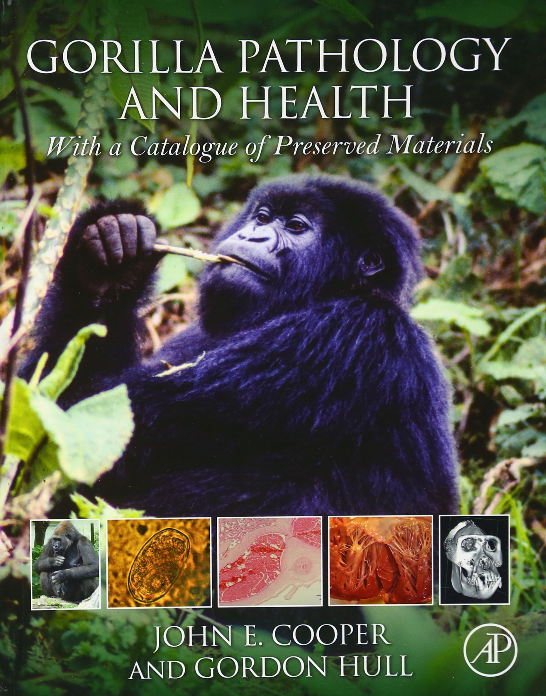 Buy Gorilla Pathology and Health: With a Catalogue of Preserved Materials — BookShops.in