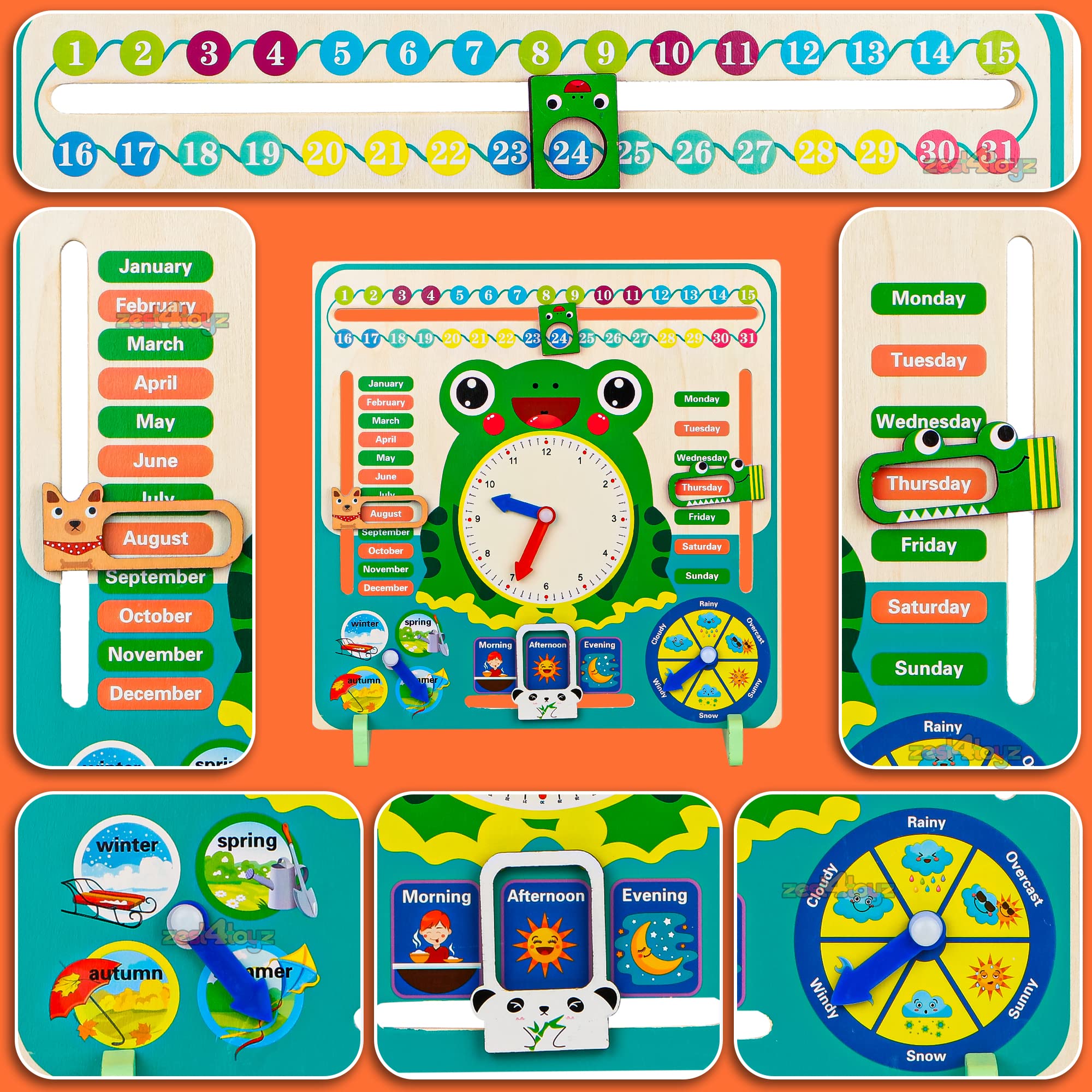 Zest 4 Toyz Learning Calendar Time and Seasons Game Wooden Clock Toy Calendar Board Shape Recognition Educational Learning Toy Frog (Green) - 3+ - Image 5 thumbnail