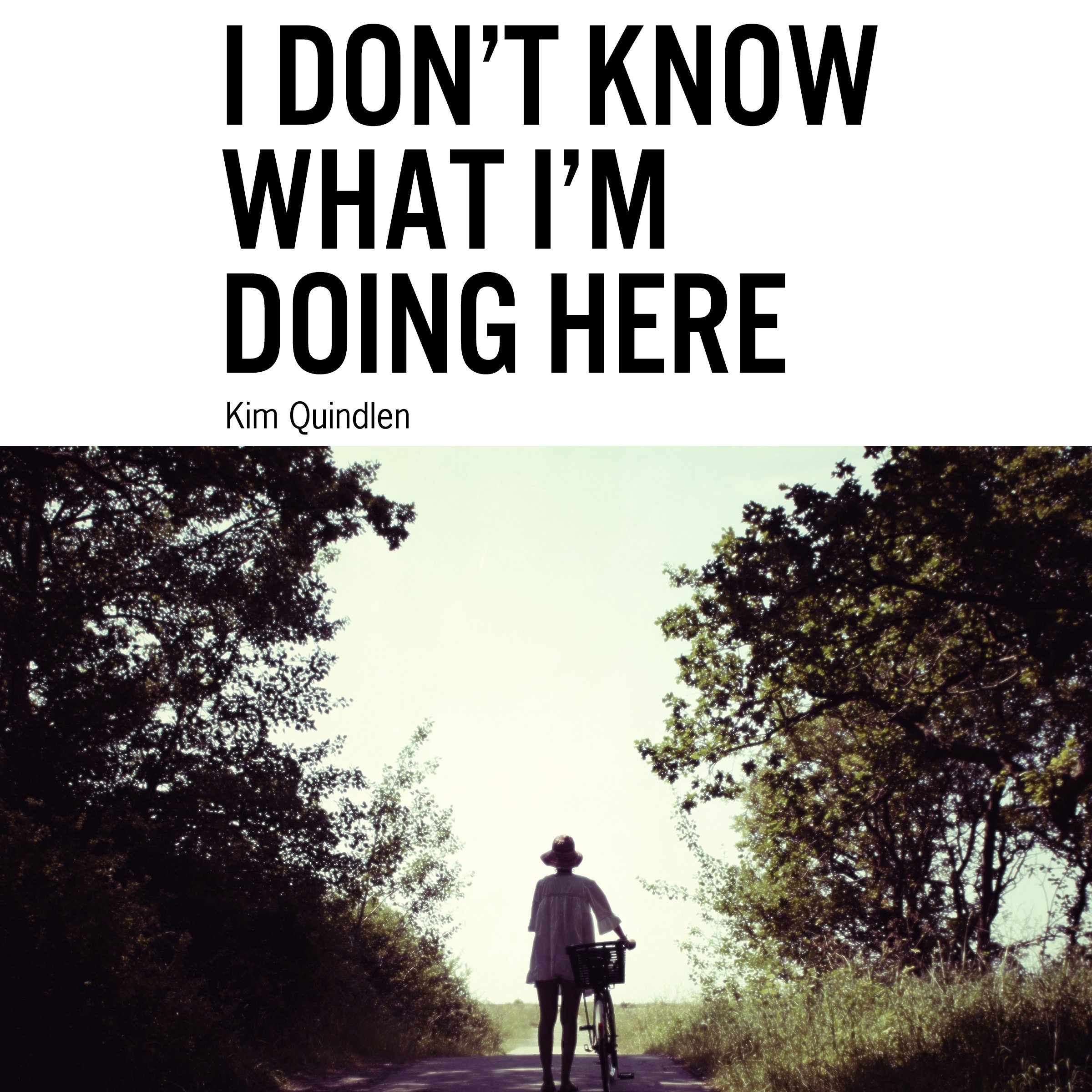 I Don't Know What I'm Doing Here