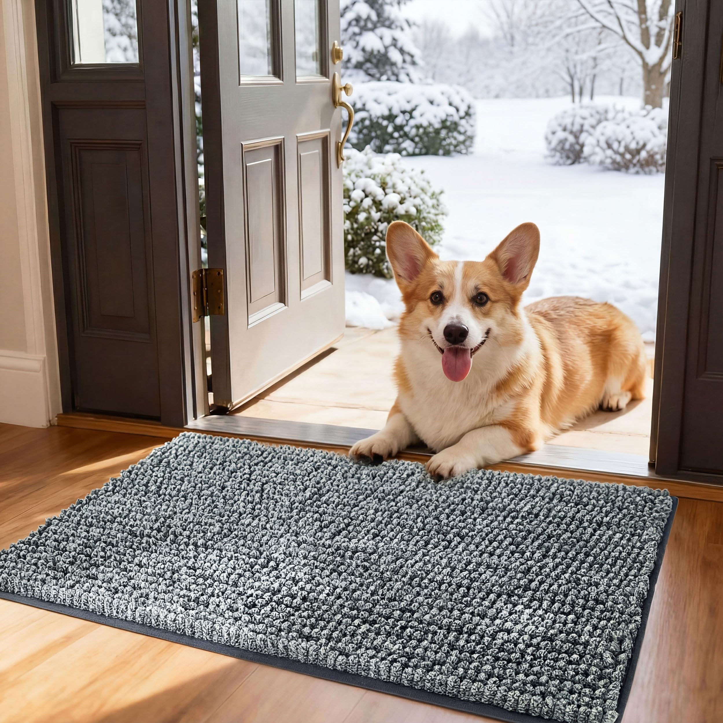 Bedsure Dog Door Mat for Muddy Paws,