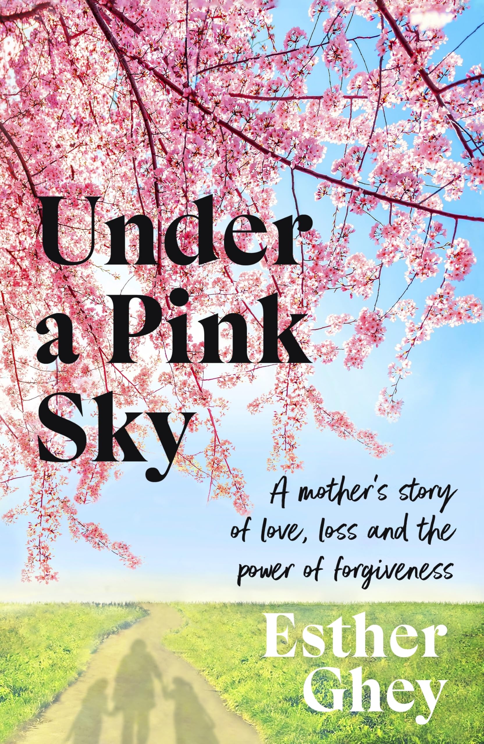 Under a Pink Sky: How Brianna's mother turned tragedy into a fight for a safer future