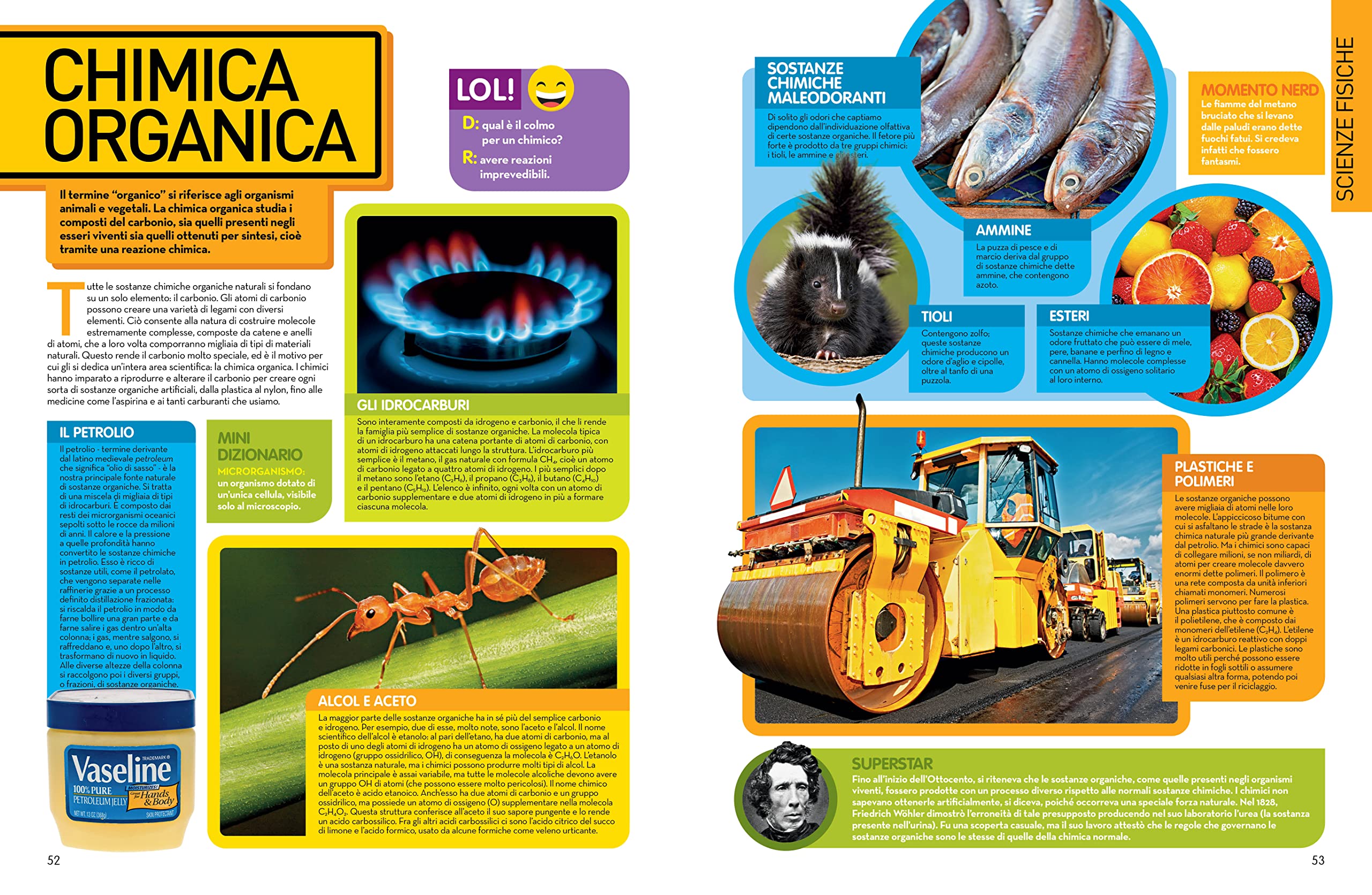 LibroScienza - Enciclopedia della Scienza per Tutte le Età | Atomi e Particelle | Chimica Alimentare | Animali | Esplorazione Spaziale - Edizione Illustrata