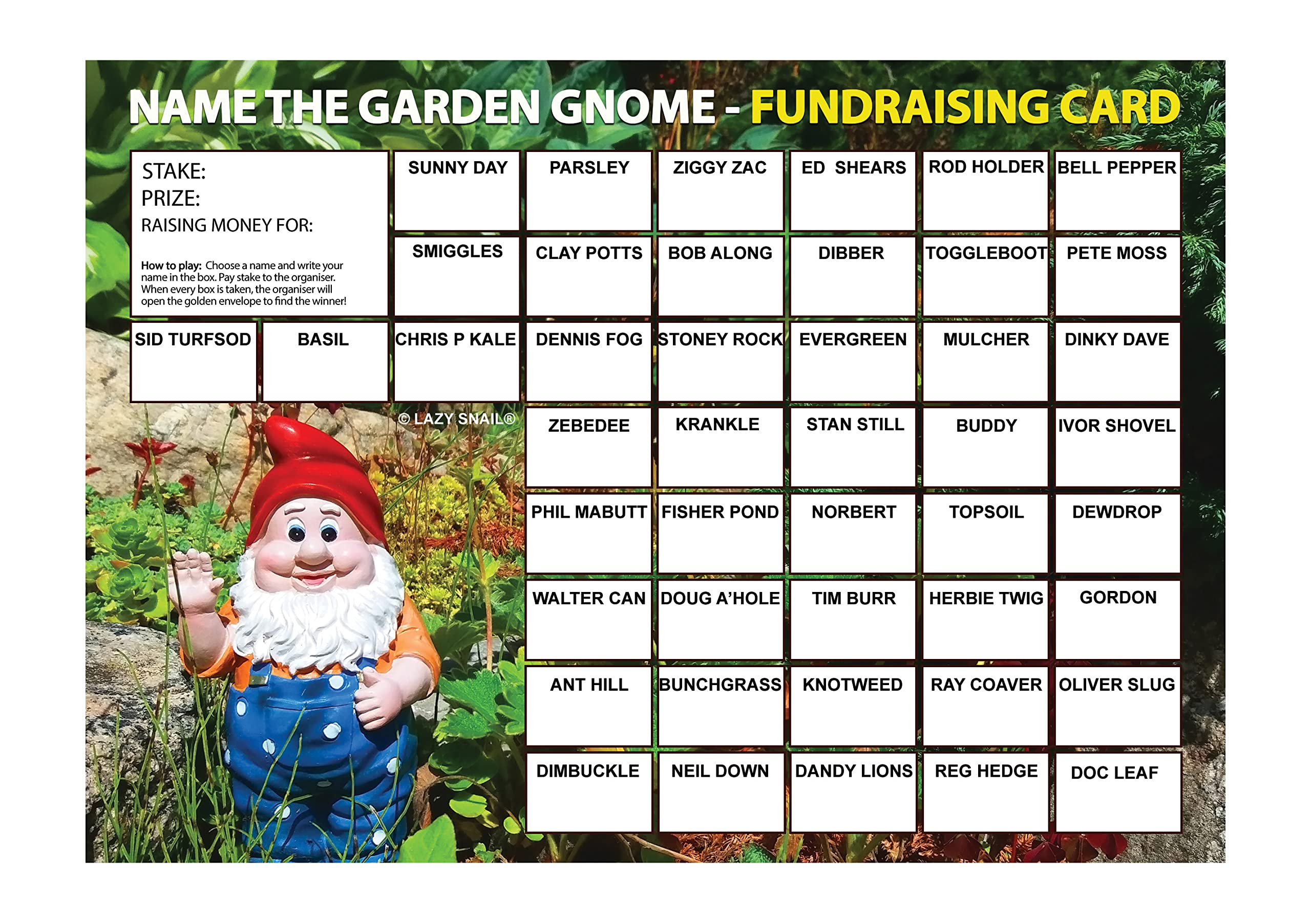 Lazy Snail ‘Name the Garden Gnome’ Fundraising Cards Pack of 8 (A4 Size