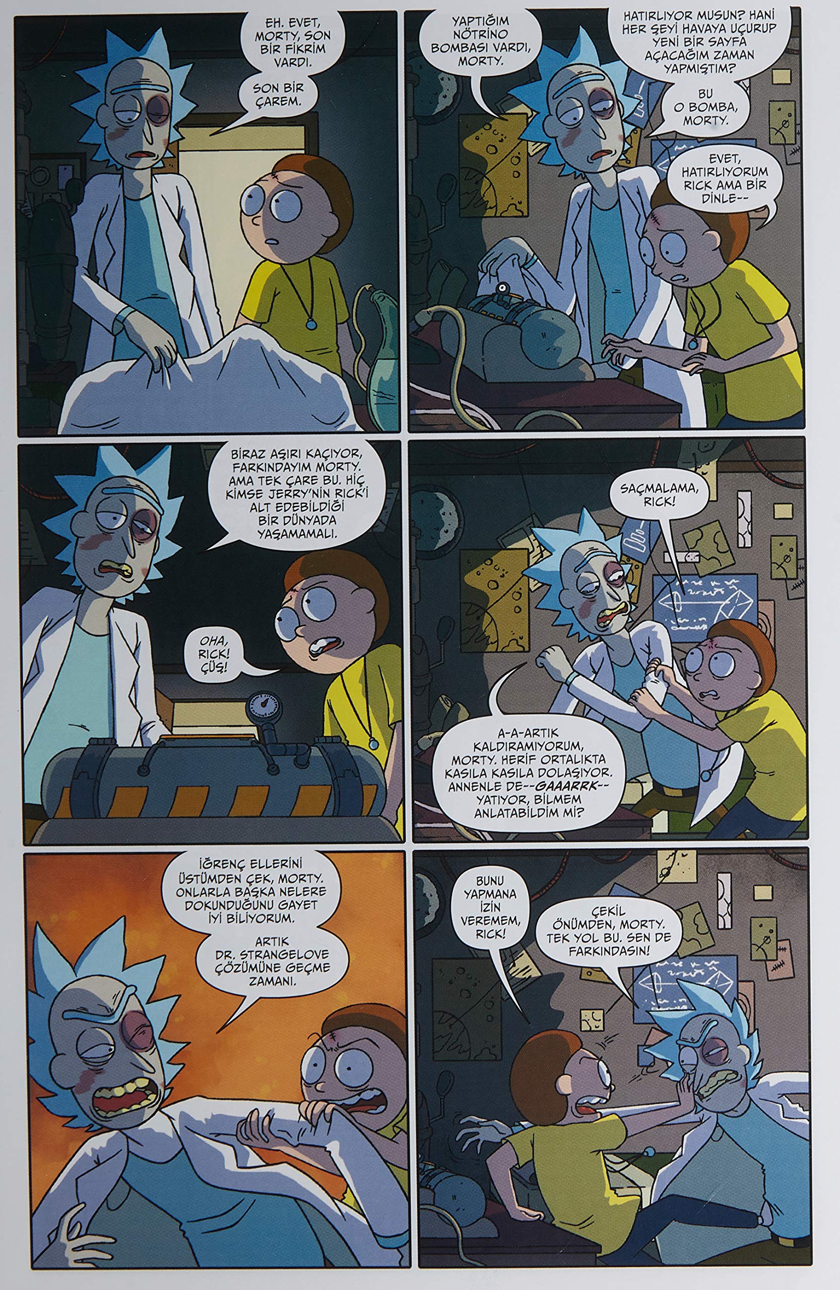 Rick and Morty 22 (Kapak değişebilir)